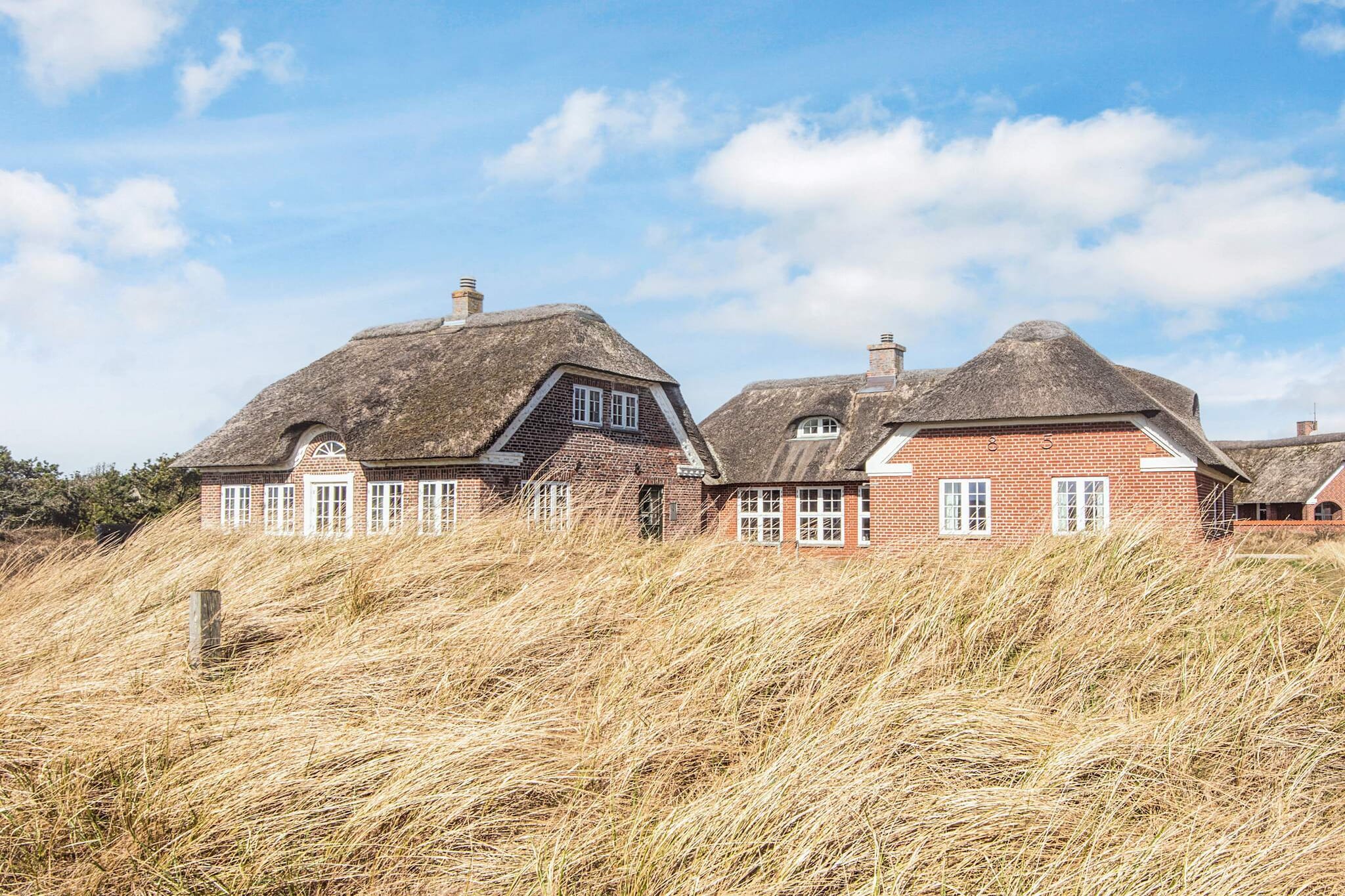 10 persoons vakantie huis in Blåvand - Uitzicht