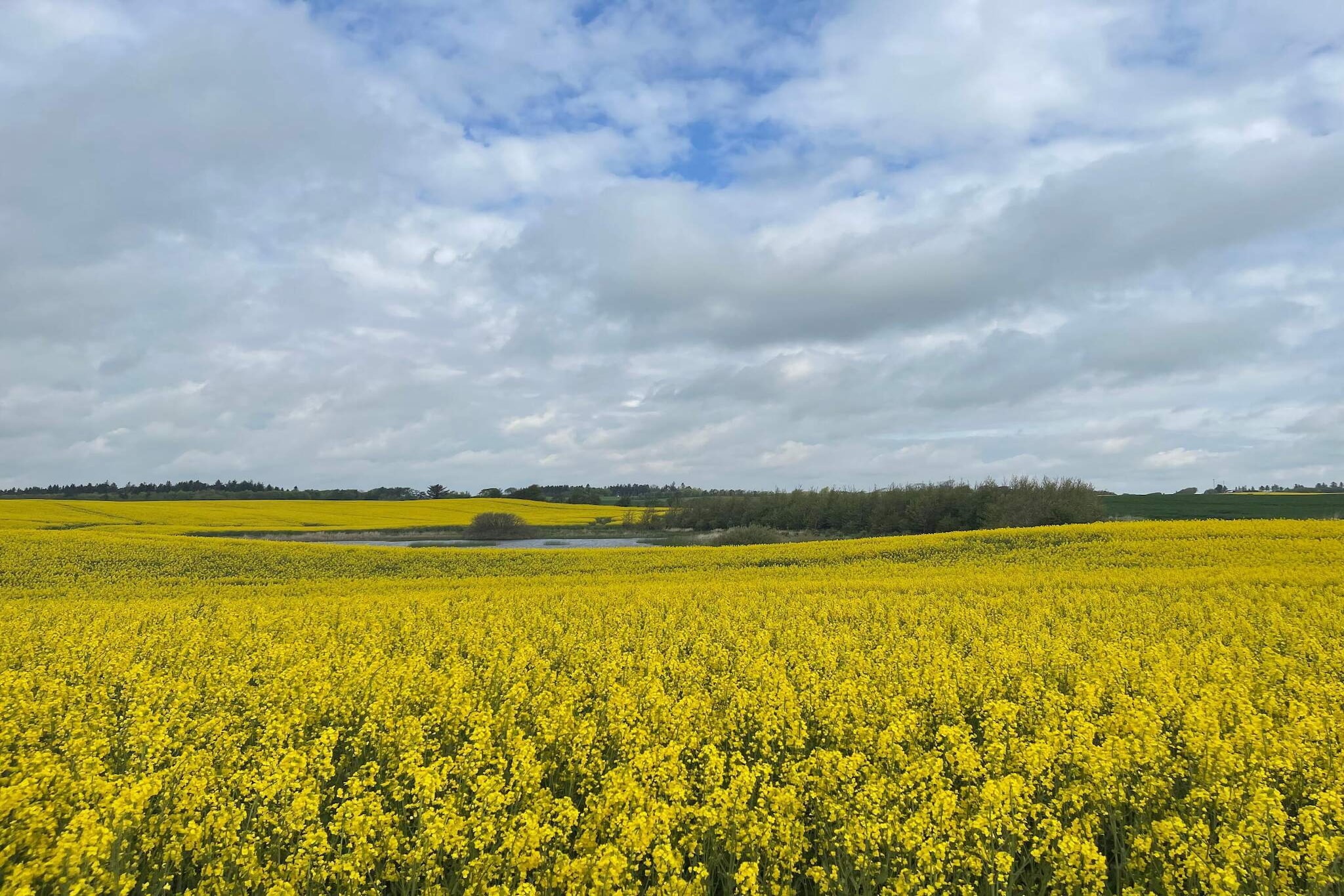6 persoons vakantie huis in Thisted-By Traum - Niet-getagd