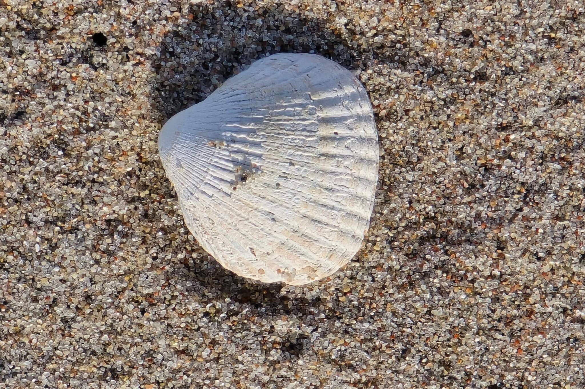 Strandparadijs -- By Traum Ferienwohnungen-Niet-getagd