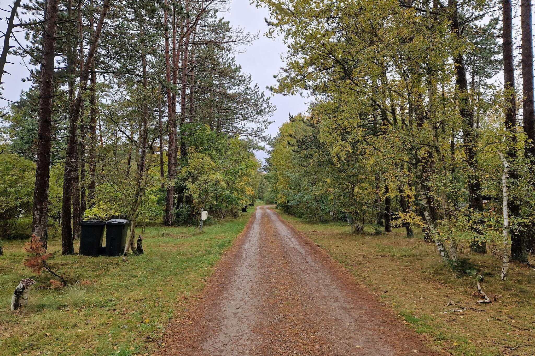 Strandparadijs -- By Traum Ferienwohnungen-Niet-getagd