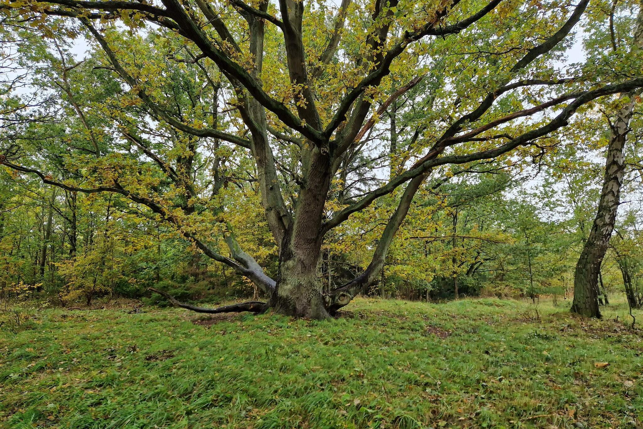 Strandparadijs -- By Traum Ferienwohnungen-Niet-getagd