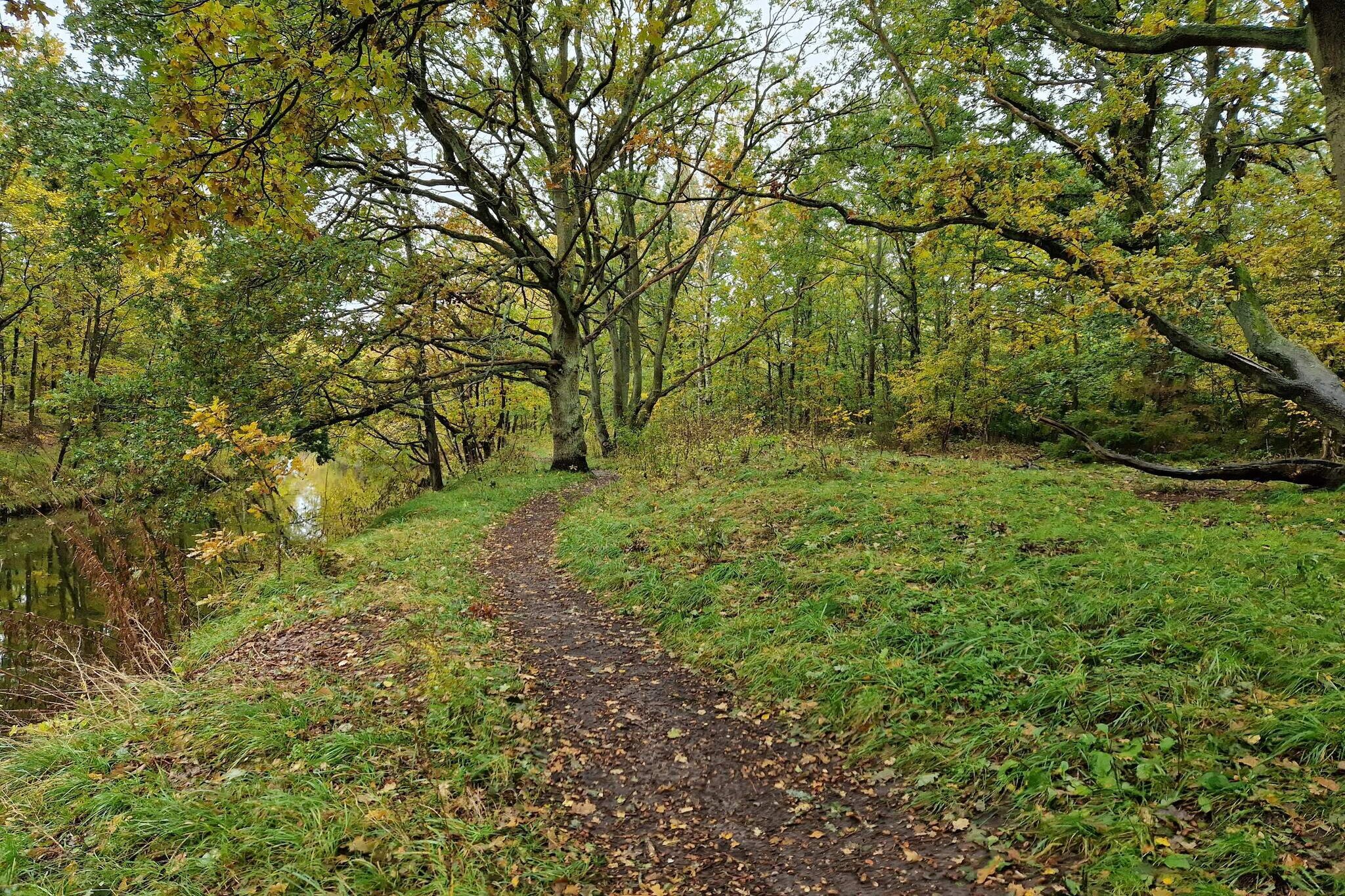 Strandparadijs -- By Traum Ferienwohnungen-Niet-getagd