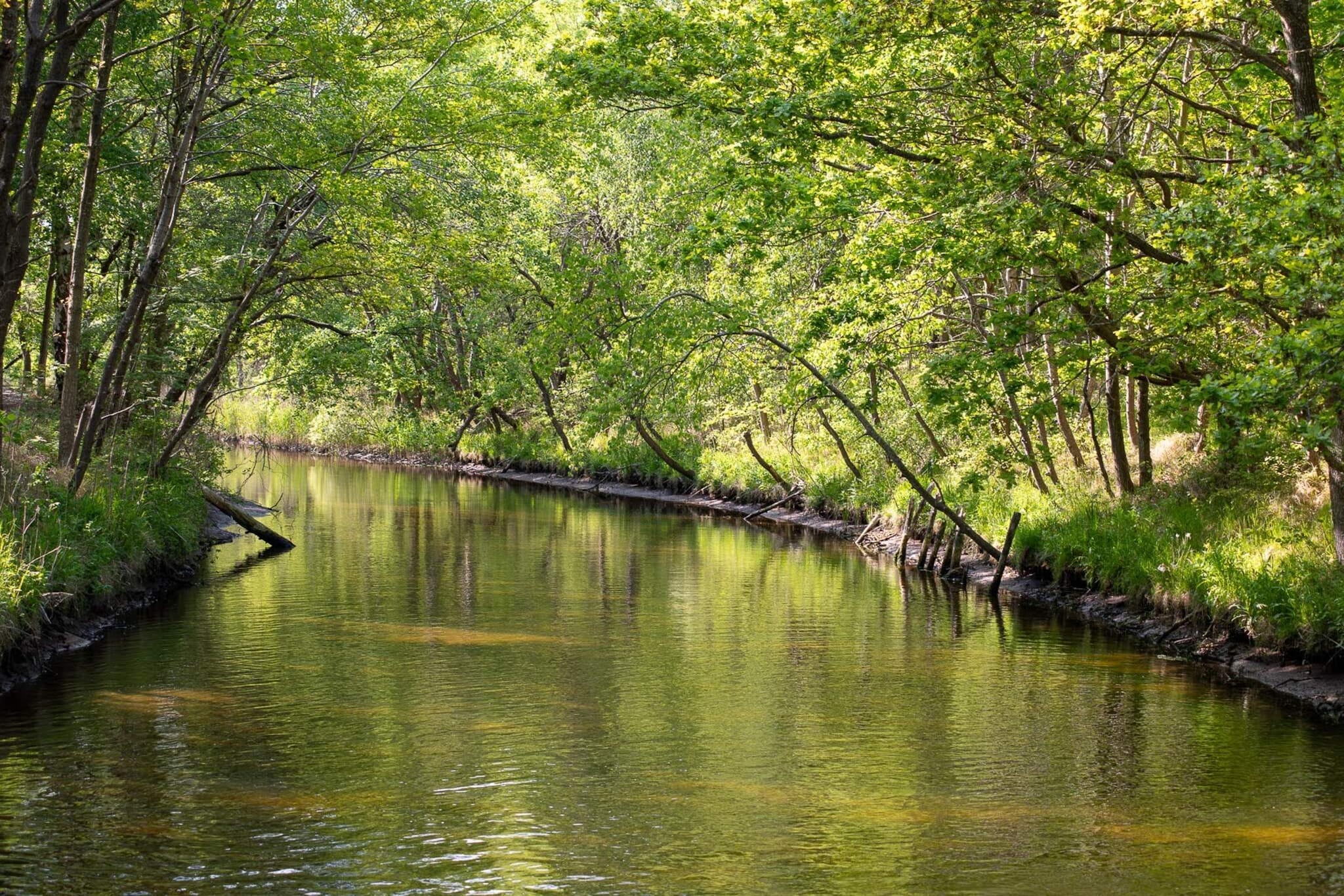 Strandparadijs -- By Traum Ferienwohnungen-Waterzicht