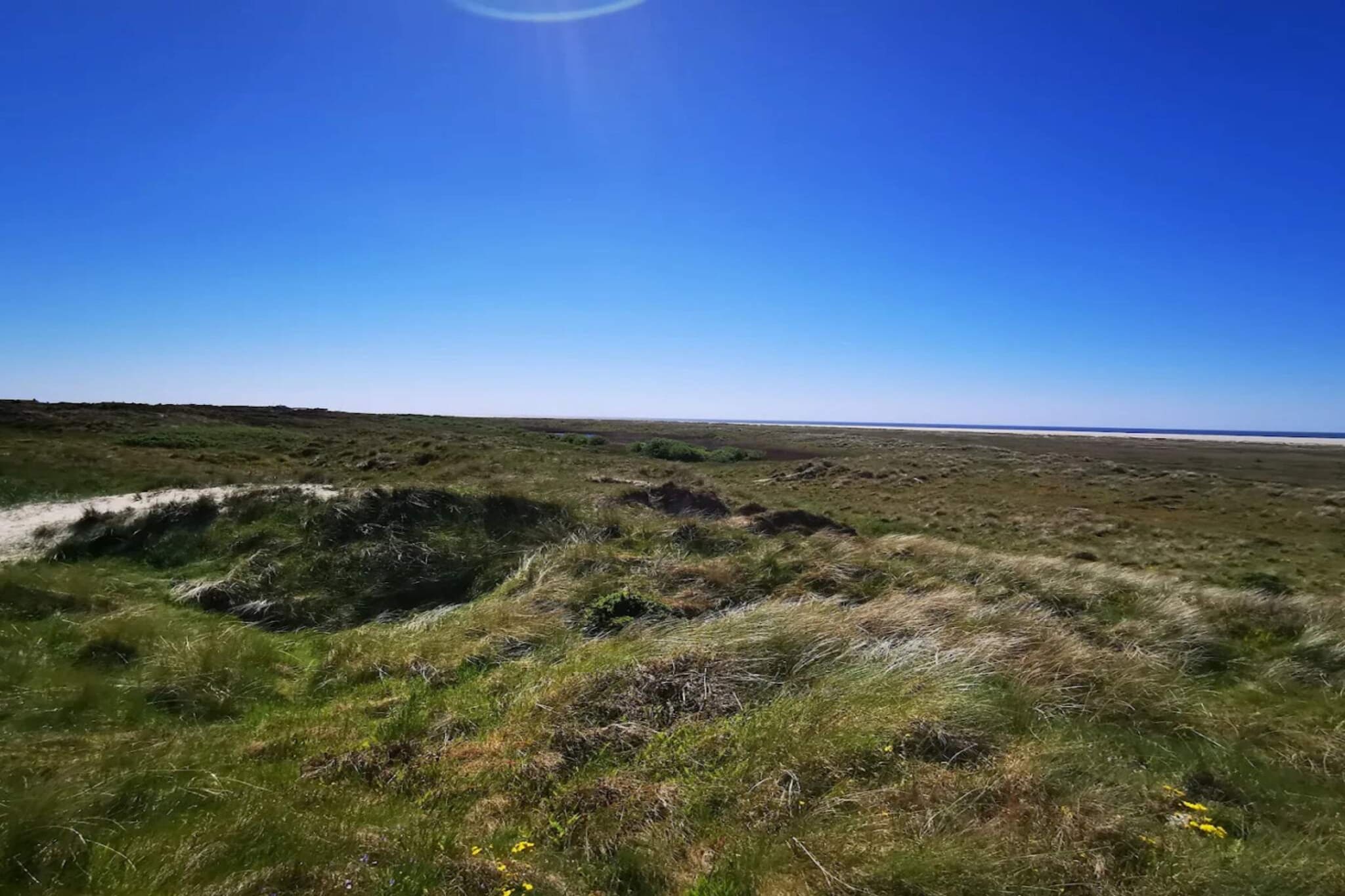 Rustig toevluchtsoord vlakbij het strand