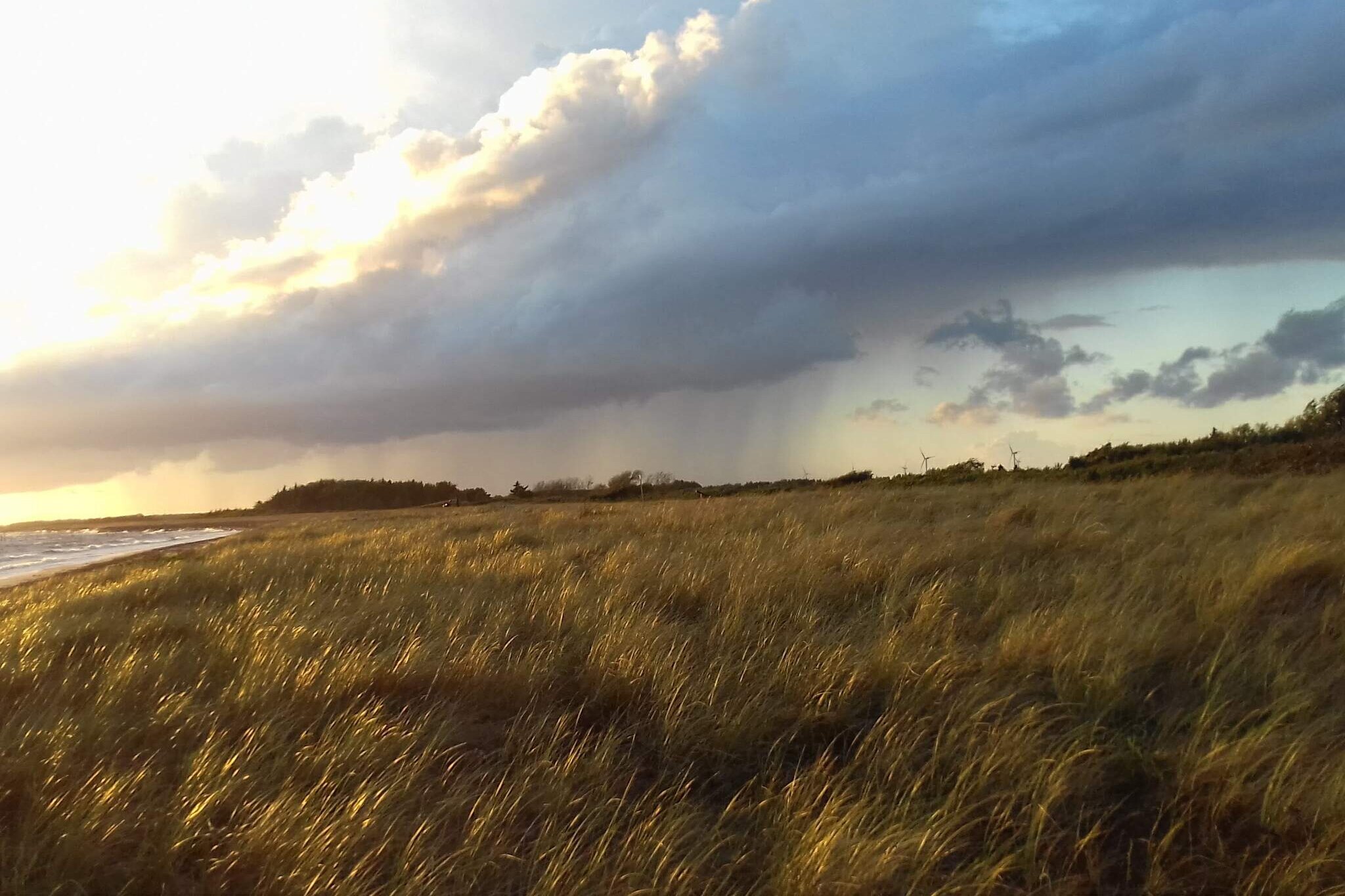 Rustig toevluchtsoord bij strand -- By Traum Ferienwohnungen-Waterzicht