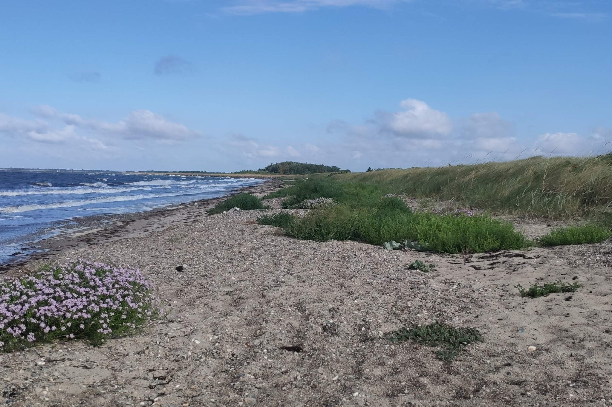 Rustig toevluchtsoord bij strand -- By Traum Ferienwohnungen-Waterzicht