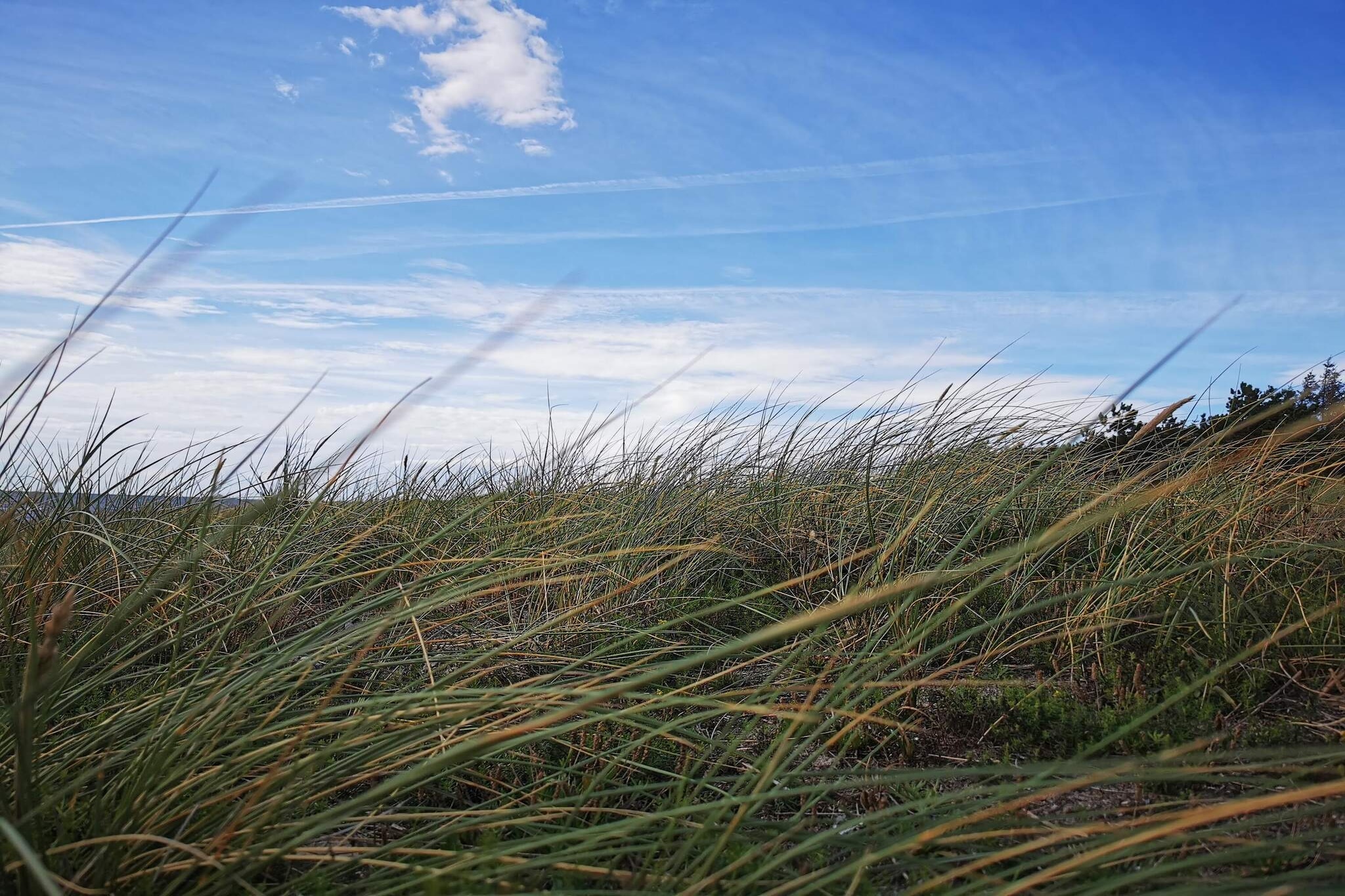 Rustig toevluchtsoord bij strand -- By Traum Ferienwohnungen