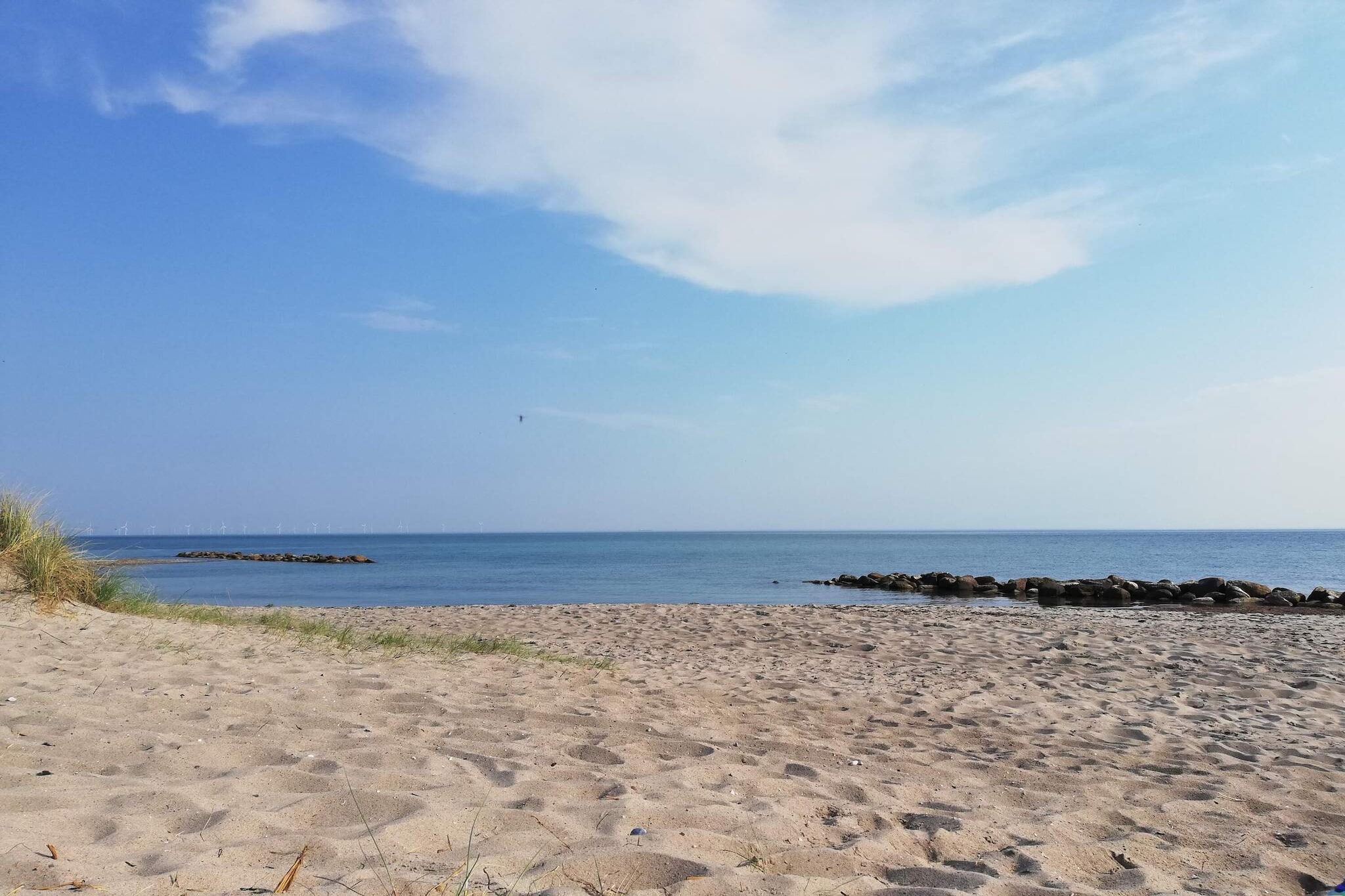 Rustige oase vlakbij het strand