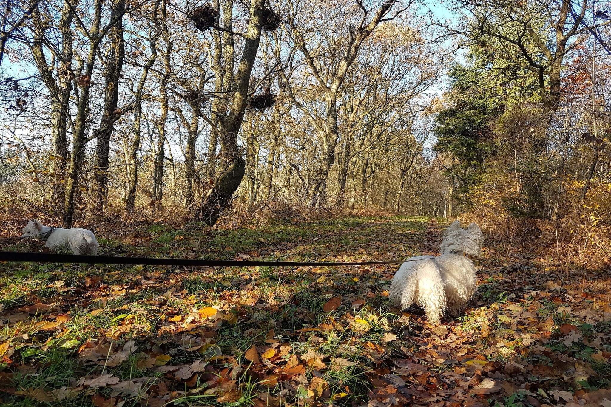 Maison de vacances pour 8 a Toftlund-By Traum-Non tagué