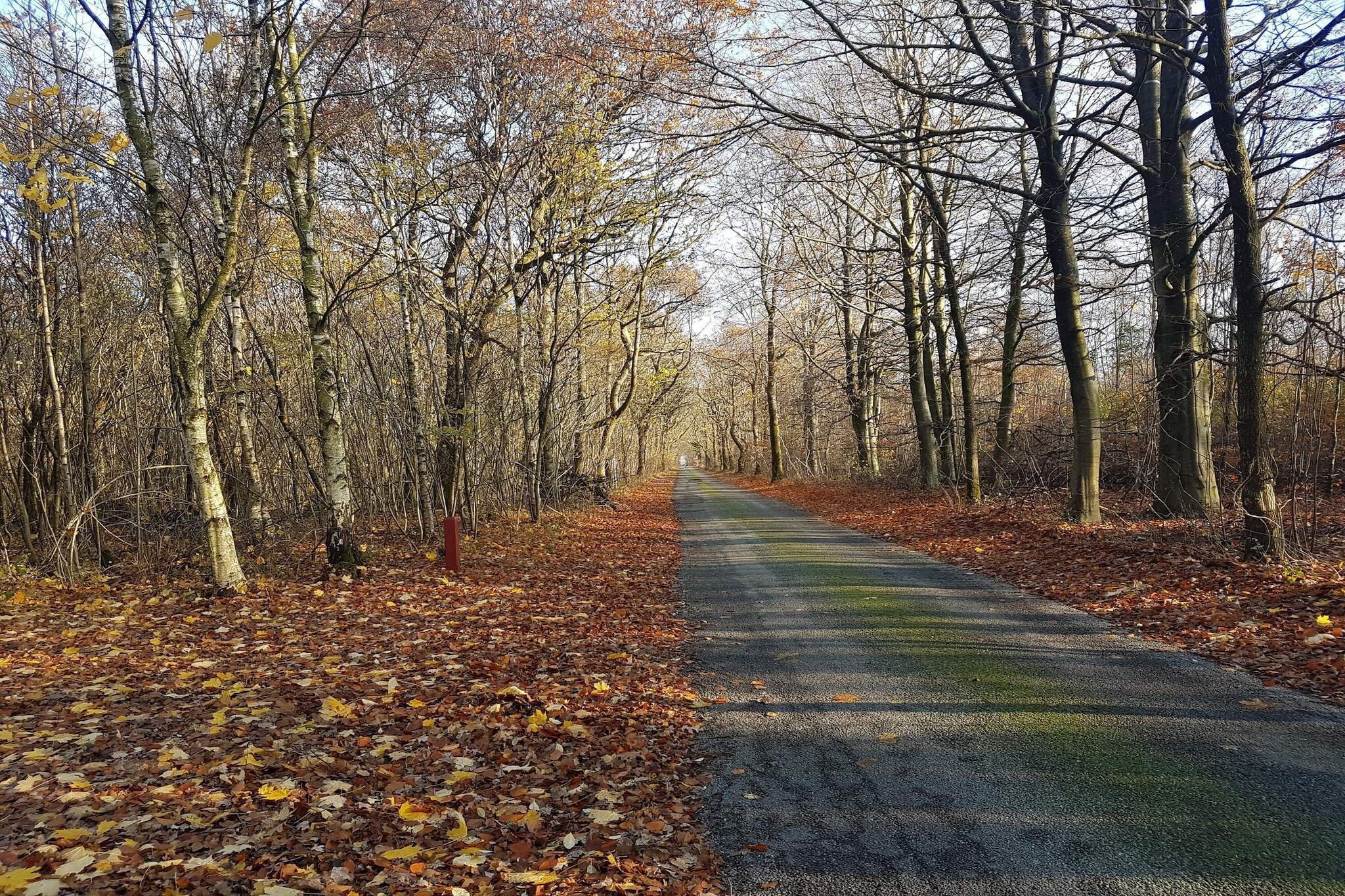 Maison de vacances pour 8 a Toftlund-By Traum-Non tagué