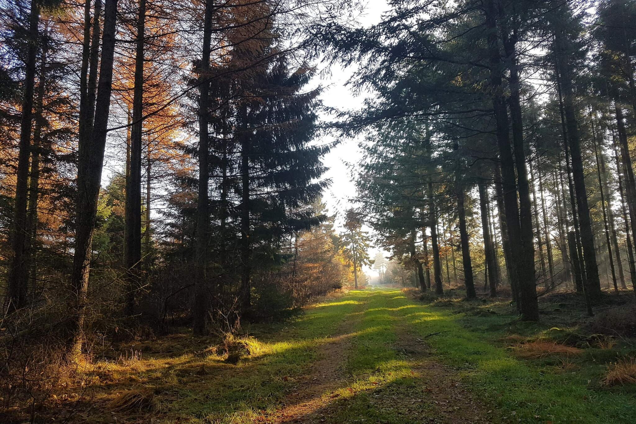Maison de vacances pour 8 a Toftlund-By Traum-Non tagué