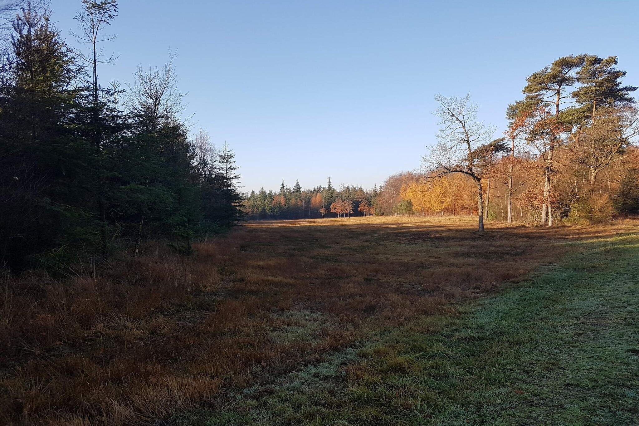 Maison de vacances pour 8 a Toftlund-By Traum-Non tagué