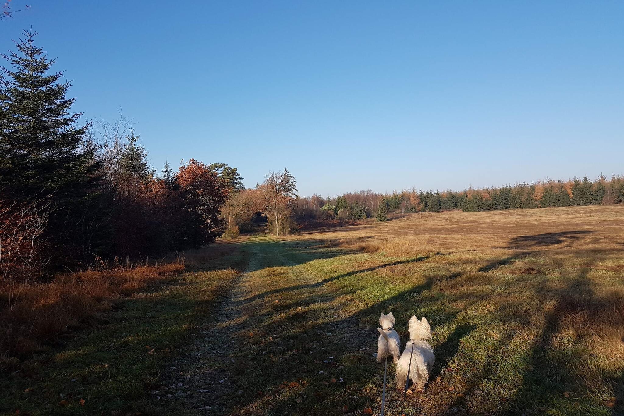 Maison de vacances pour 8 a Toftlund-By Traum-Non tagué