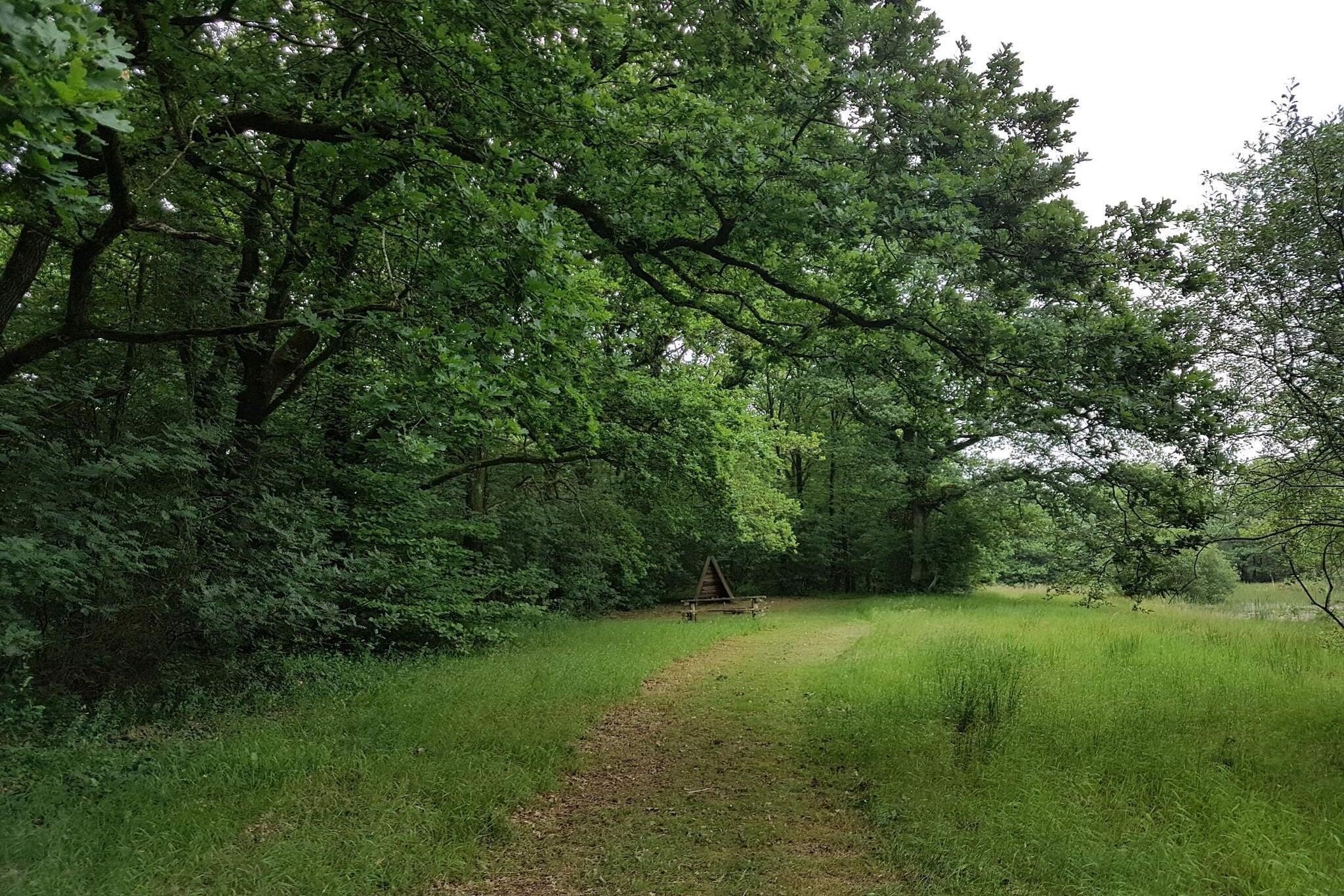 6 persoons vakantie huis in Toftlund-By Traum-Niet-getagd