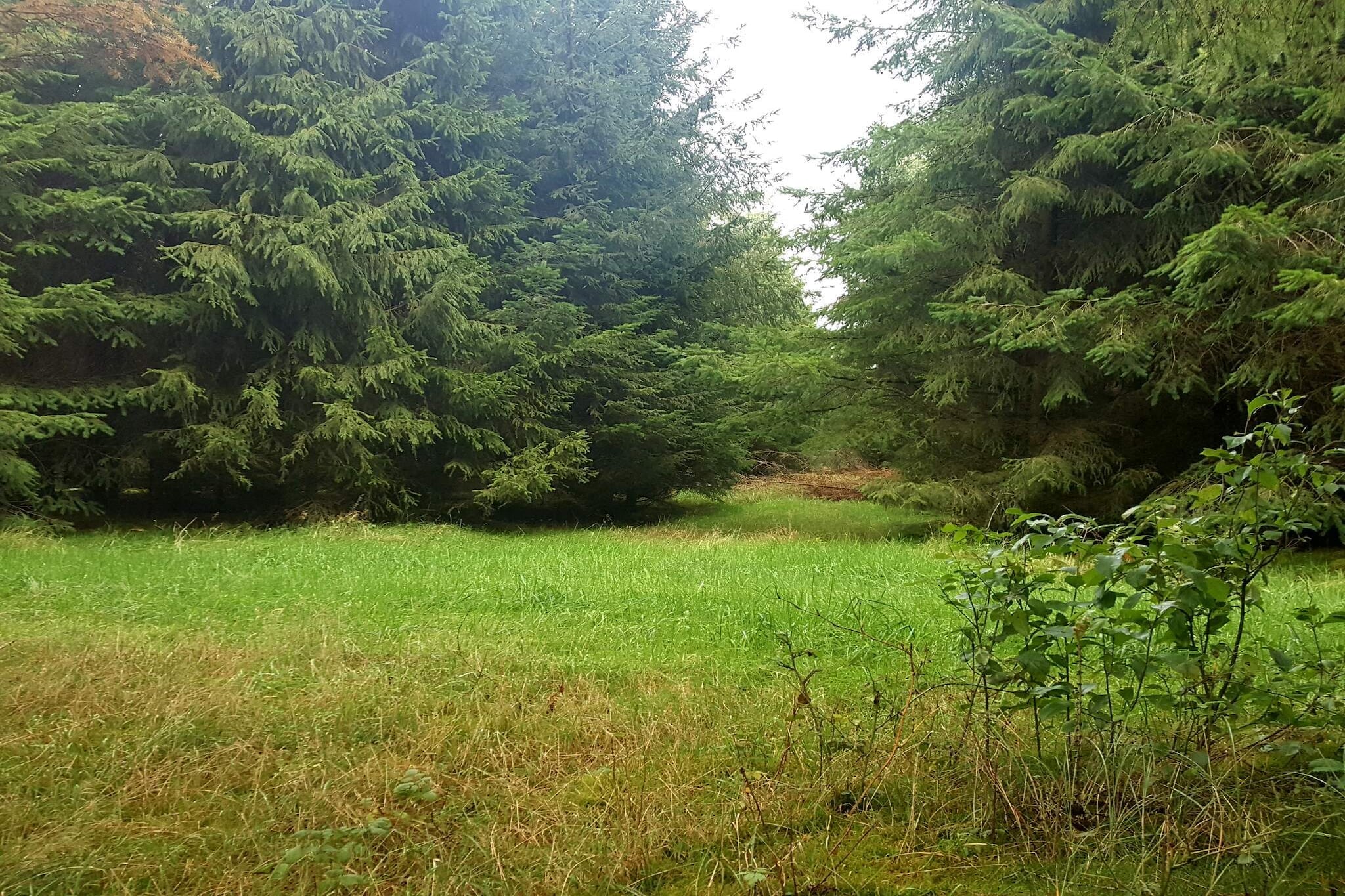 6 persoons vakantie huis in Toftlund-By Traum-Niet-getagd