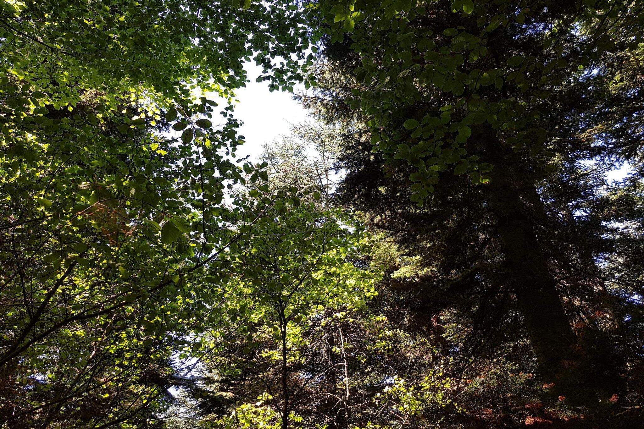 6 persoons vakantie huis in Toftlund-By Traum-Niet-getagd