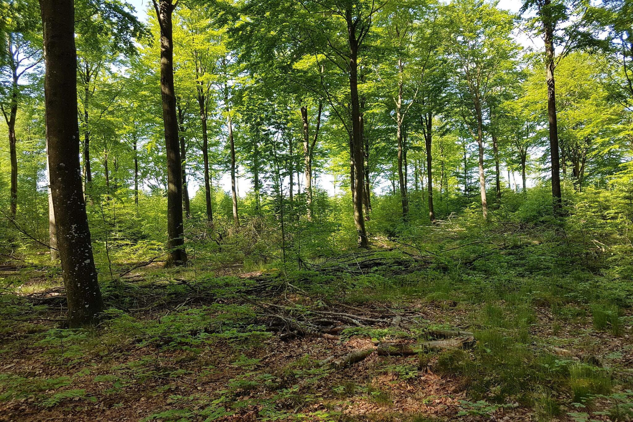 6 persoons vakantie huis in Toftlund-By Traum-Niet-getagd