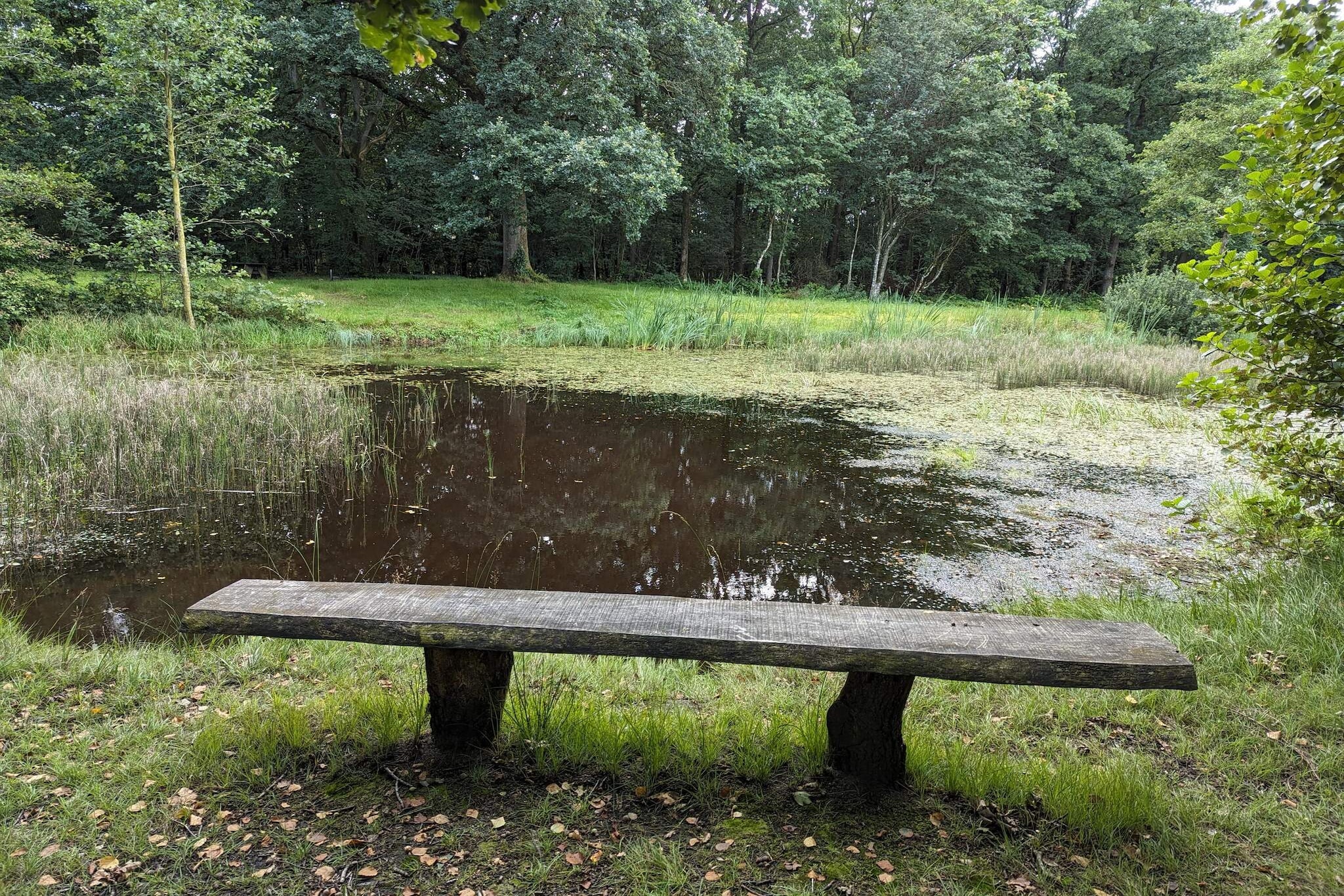 6 persoons vakantie huis in Toftlund-By Traum - Waterzicht