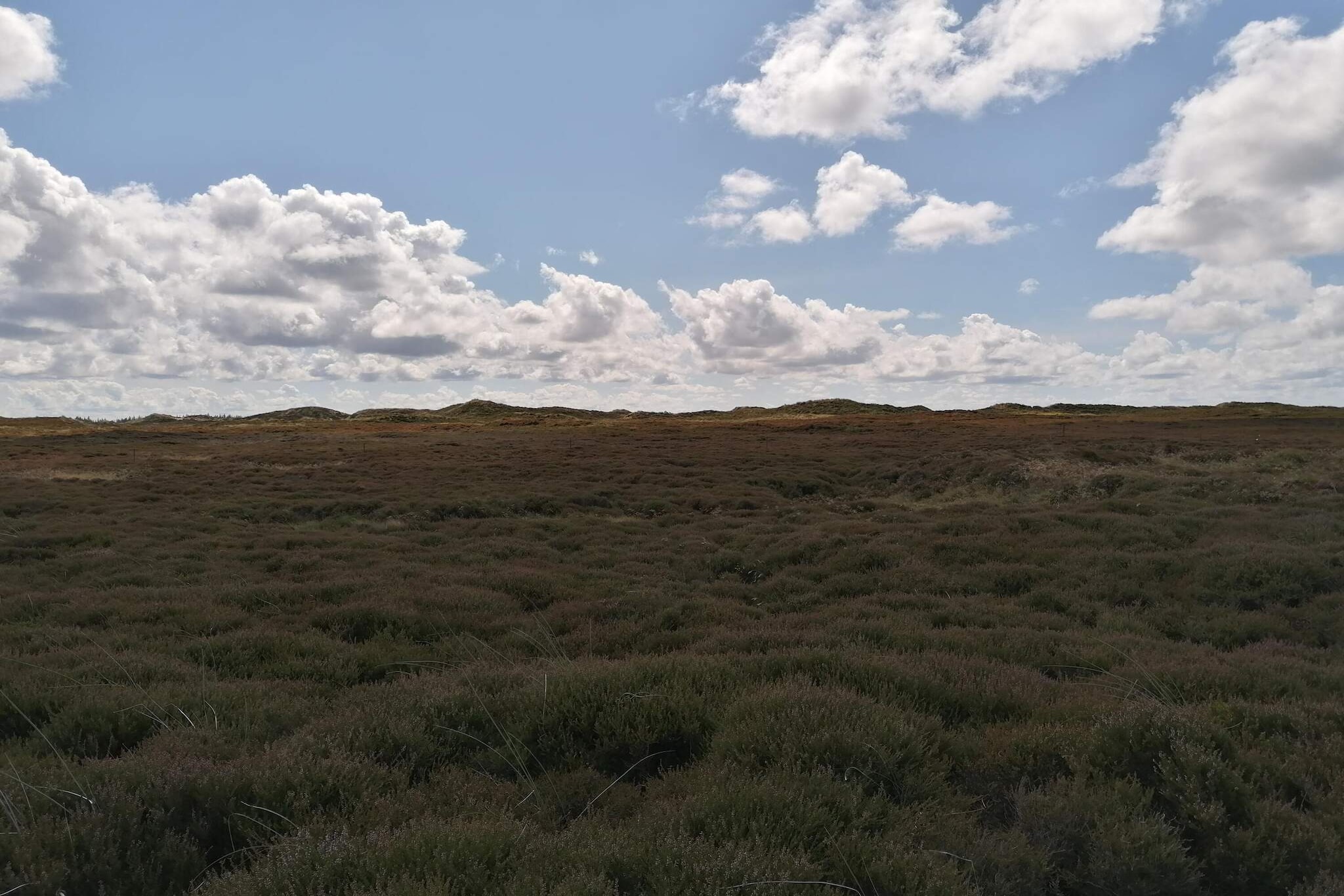 5 persoons vakantie huis in Henne-By Traum-Niet-getagd