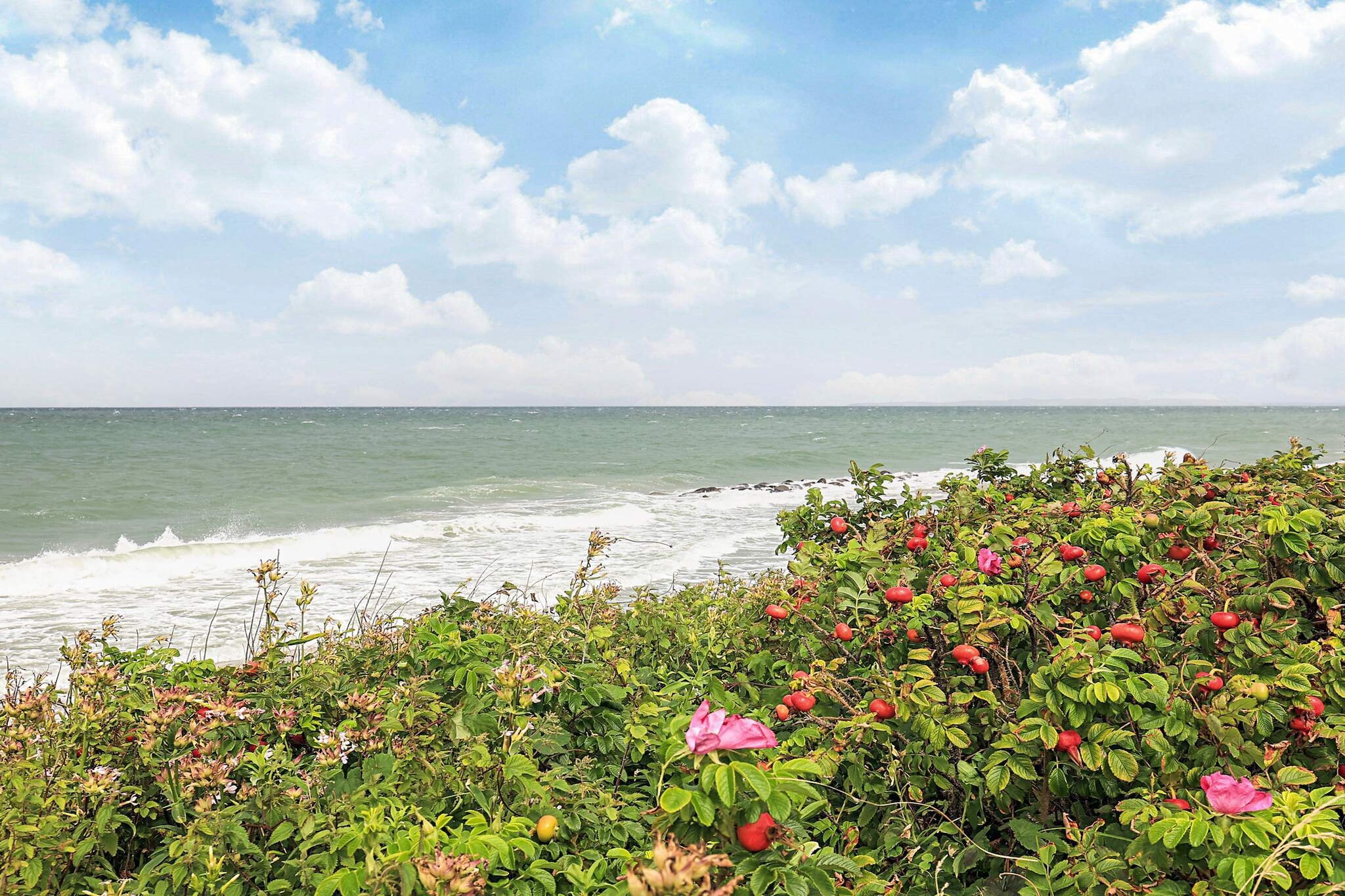 6 persoons vakantie huis in Gilleleje-By Traum-Waterzicht