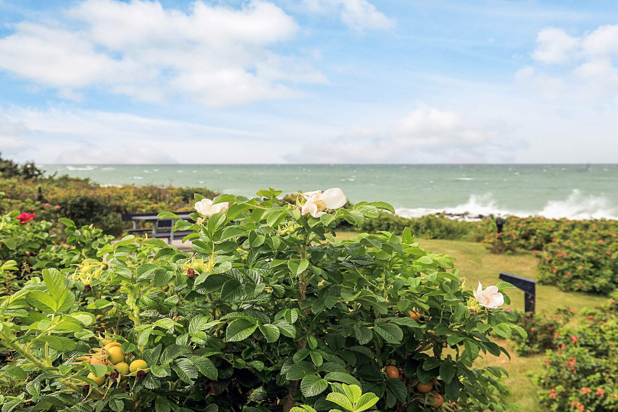 6 persoons vakantie huis in Gilleleje-By Traum-Waterzicht