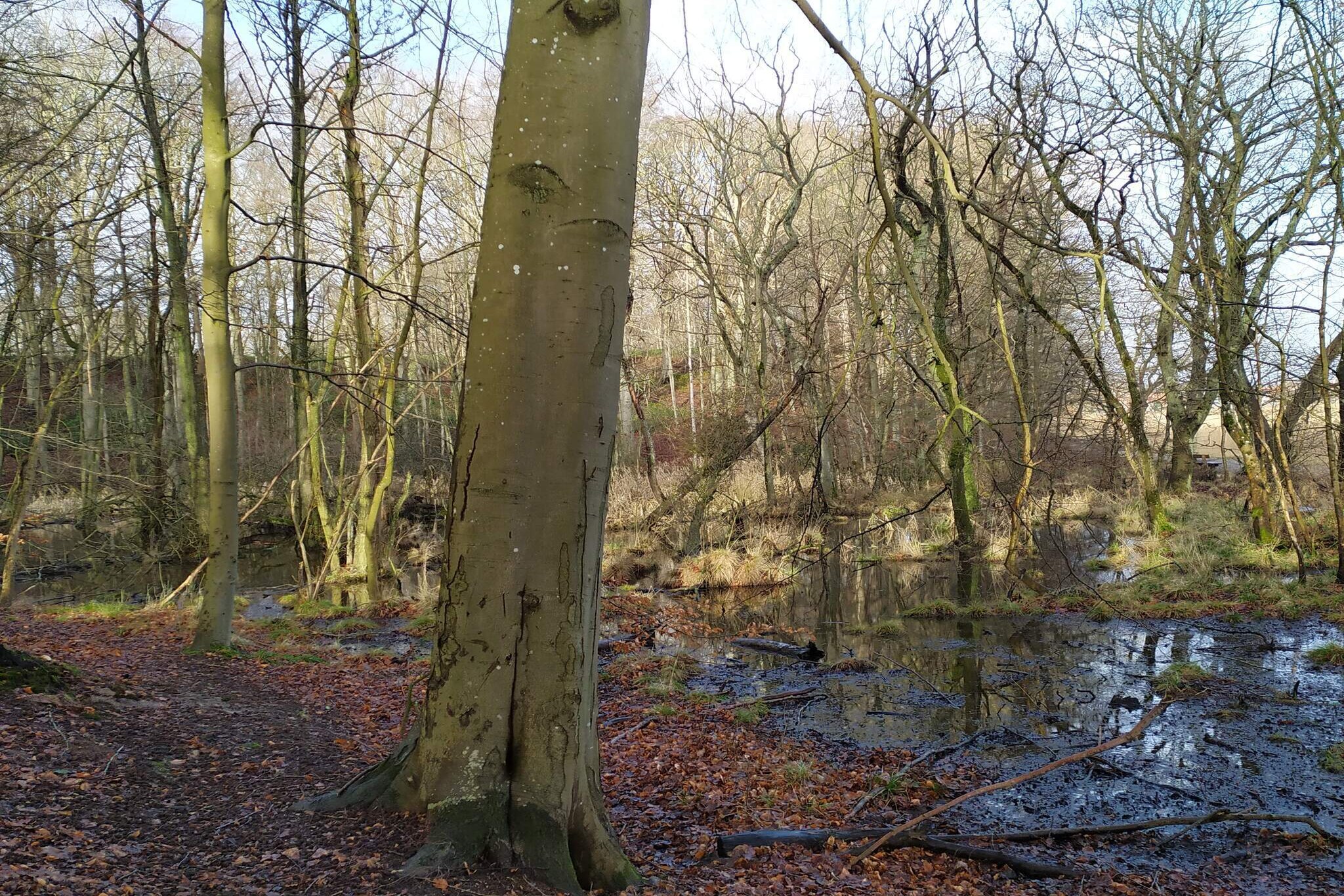 4 persoons vakantie huis in Juelsminde-By Traum