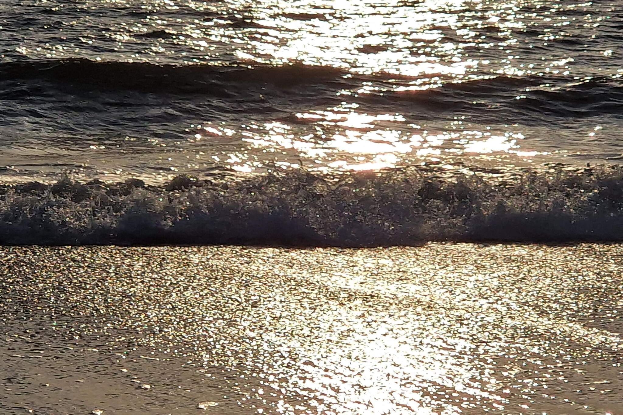 Sauna retraite in Blabjerg -- By Traum Ferienwohnungen-Waterzicht