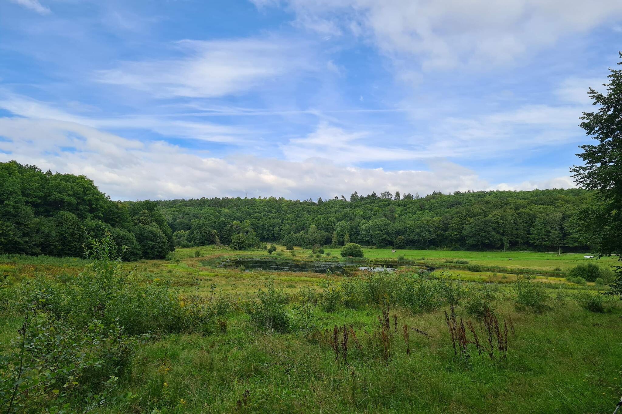 10 persoons vakantie huis in Ålbæk-By Traum-Waterzicht
