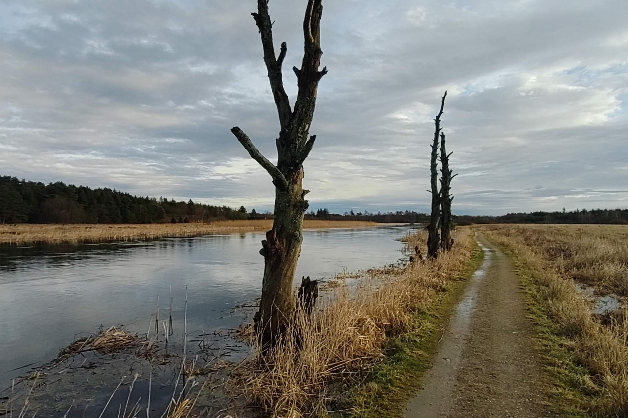 5 persoons vakantie huis in Ans By-By Traum-Waterzicht