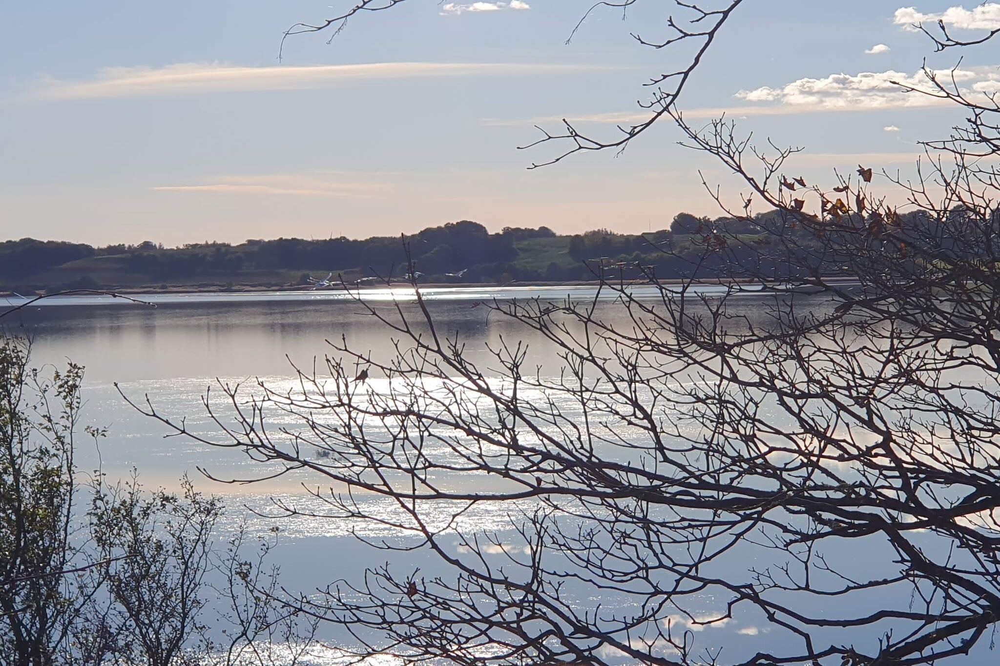 8 persoons vakantie huis in Skals-By Traum-Waterzicht