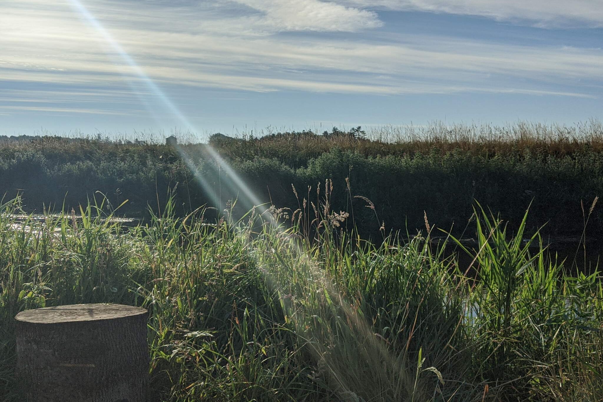 6 Personen Ferienhaus in Brædstrup-By Traum-Nicht zugeordnet