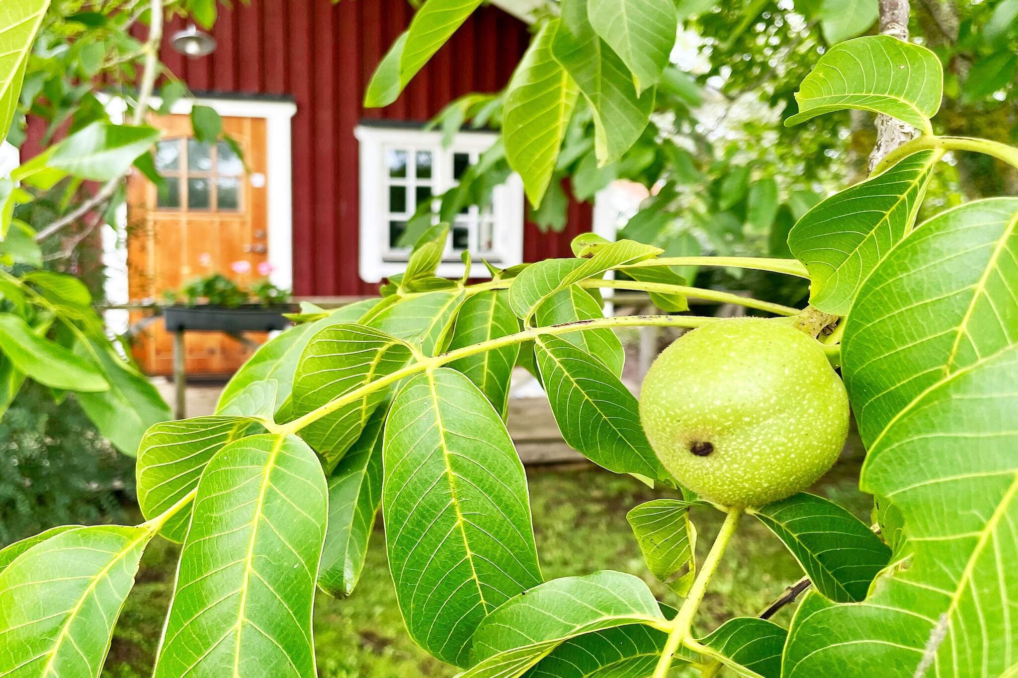 Internet Access DSL, Living room(double folding bed), open kitchen(cooker(electric), coffee machine, microwave, fridge(+ freezer), high chair, water from well), Living/bed room(single folding bed, 2x bunk bed, TV(swedish TV channels), radio), bathroom(floor heating)(washbasin, shower, toilet, washing machine), terrace, garden furniture, BBQ, parking, geothermal energy, air to air heatpump