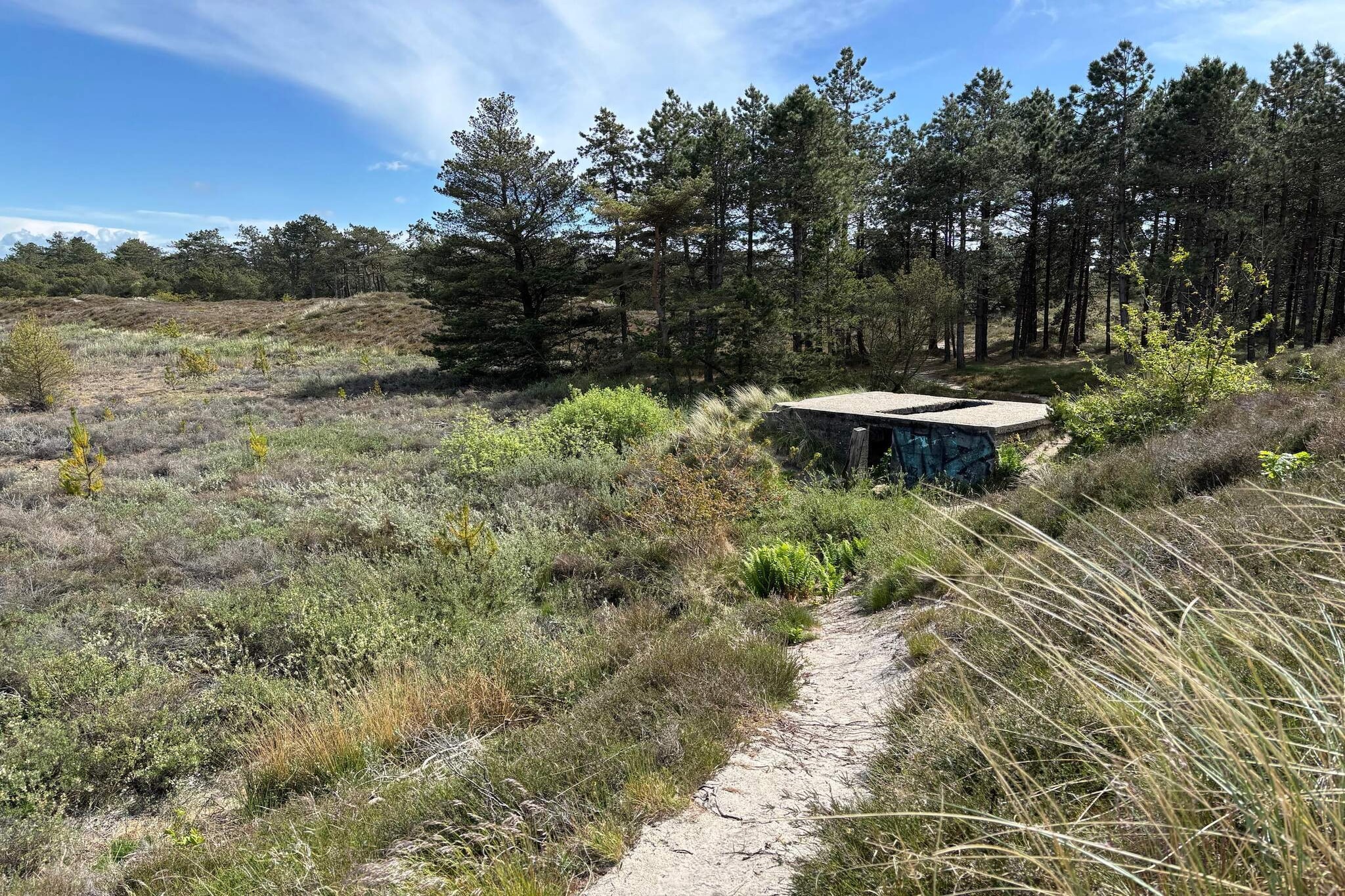 6 persoons vakantie huis in Rømø-By Traum-Niet-getagd