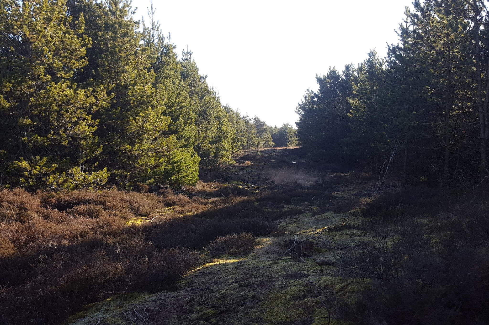 6 persoons vakantie huis in Rømø-By Traum-Niet-getagd