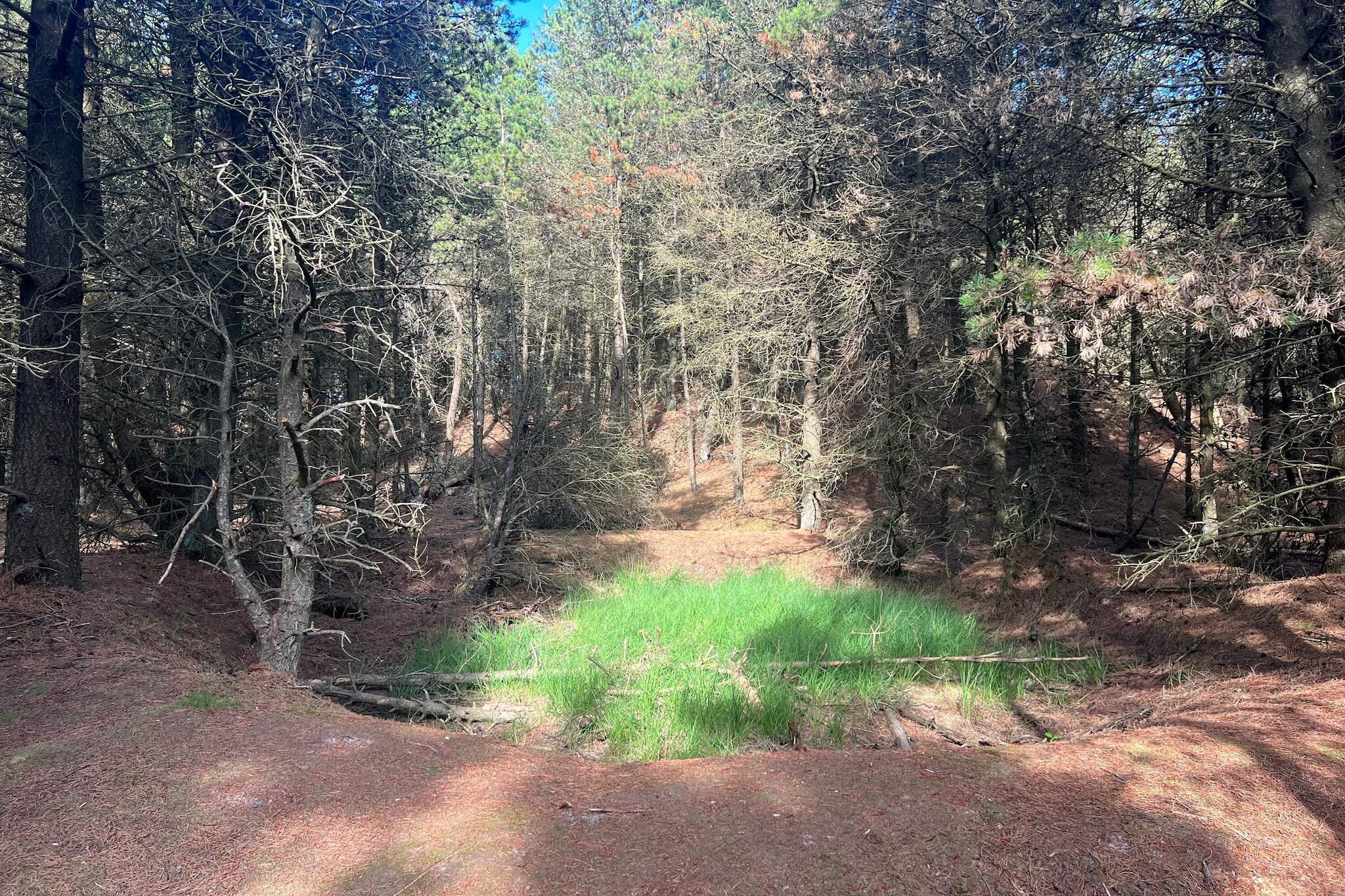 6 persoons vakantie huis in Rømø-By Traum-Niet-getagd