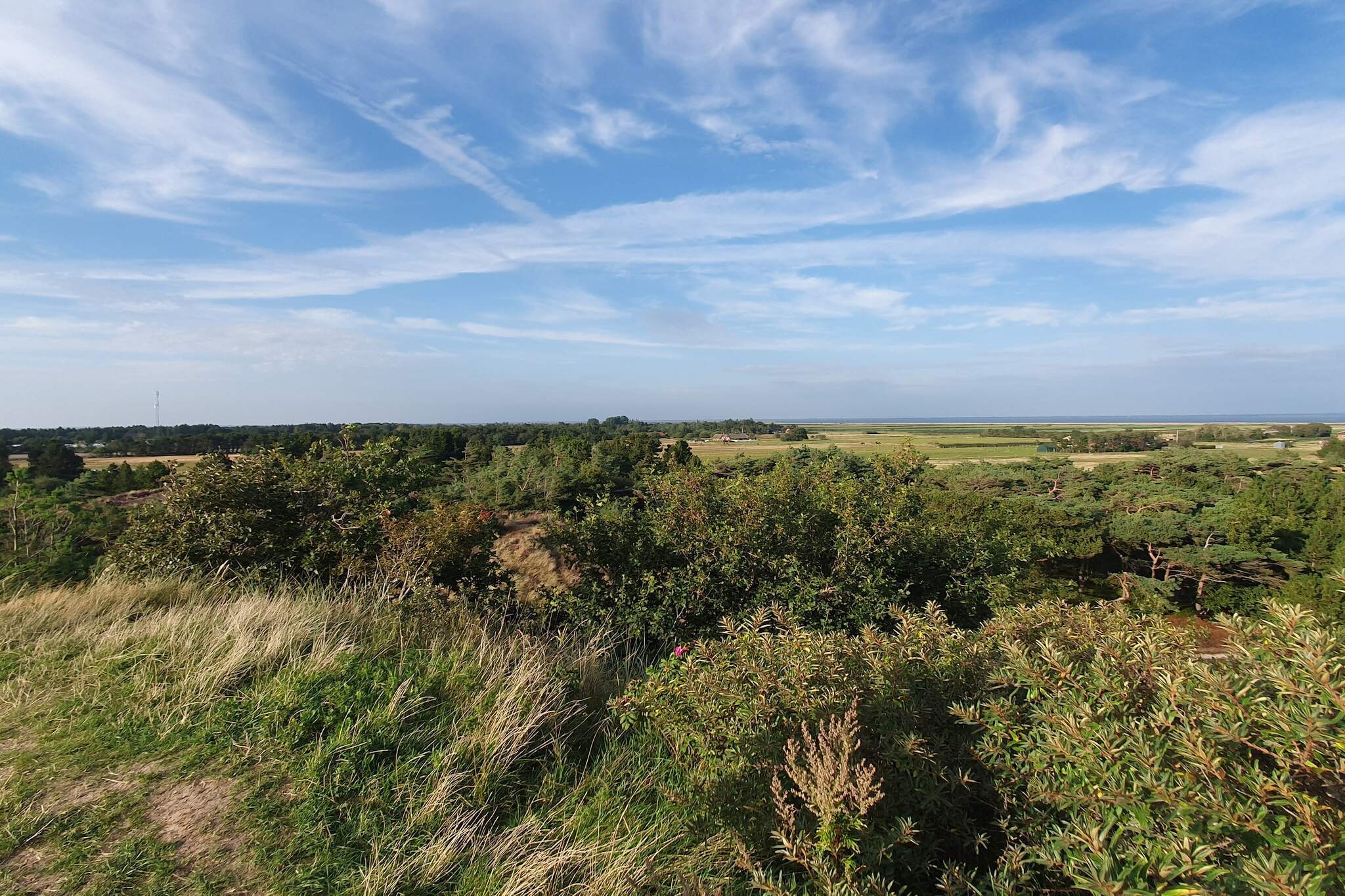 6 persoons vakantie huis in Rømø-By Traum-Niet-getagd