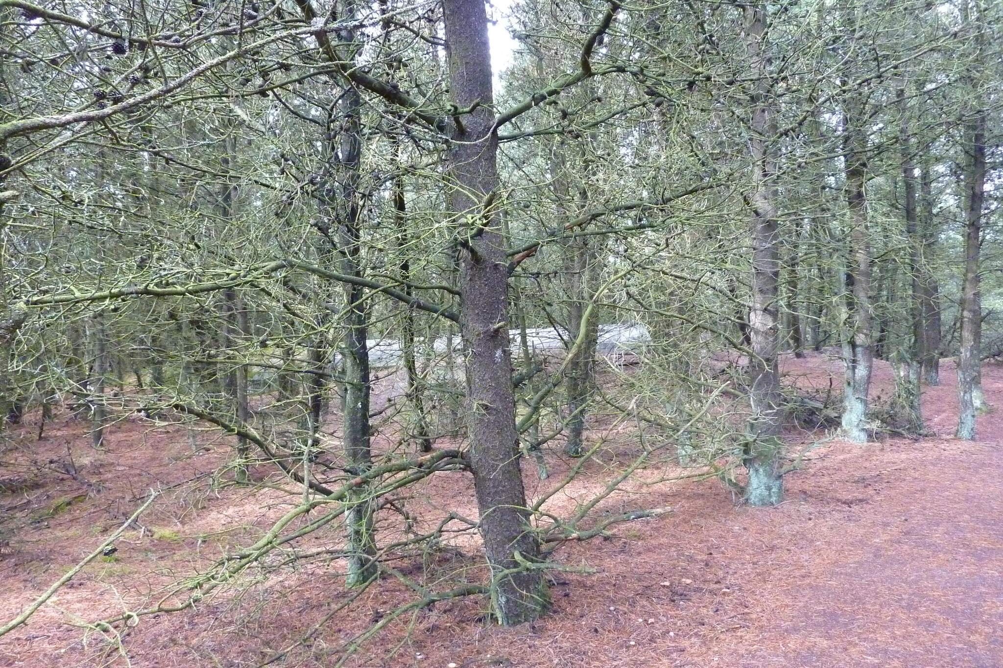 6 persoons vakantie huis in Rømø-By Traum-Niet-getagd