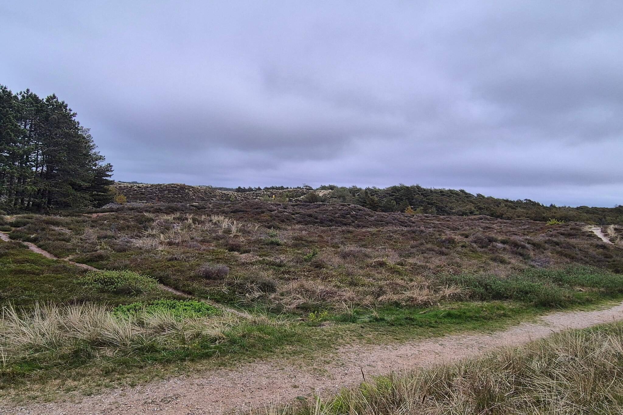 6 persoons vakantie huis in Rømø-By Traum-Niet-getagd