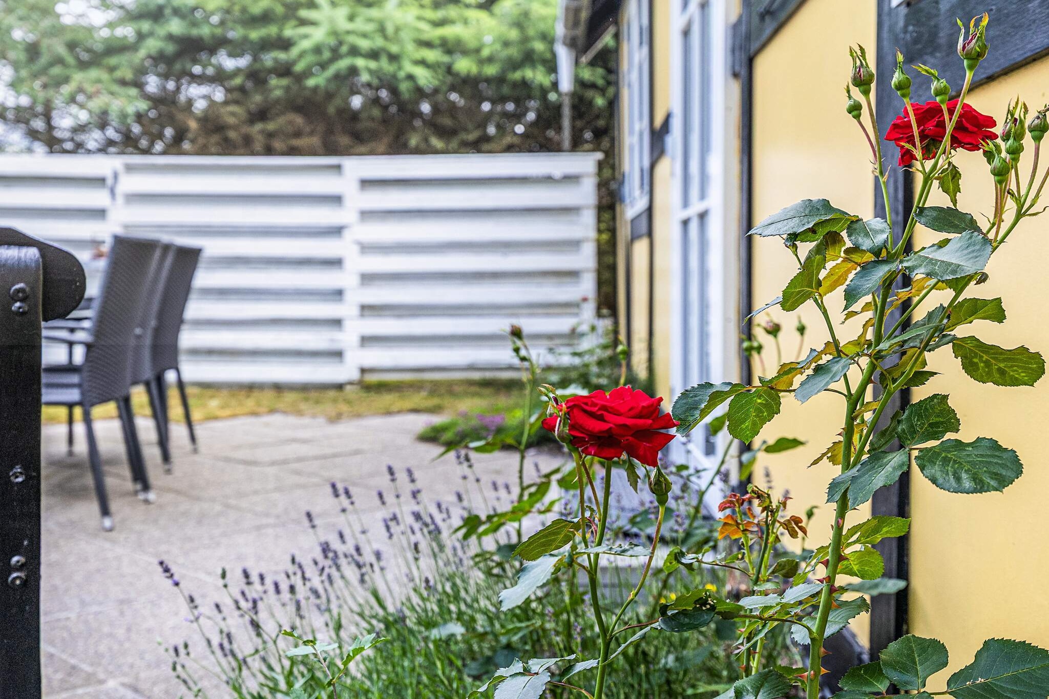 Maison de vacances pour 6 a Hals-By Traum