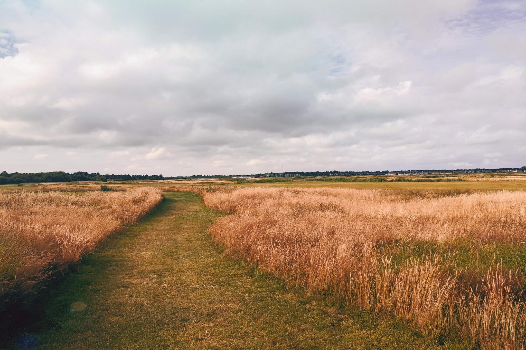 4 persoons vakantie huis in Rømø-By Traum-Niet-getagd
