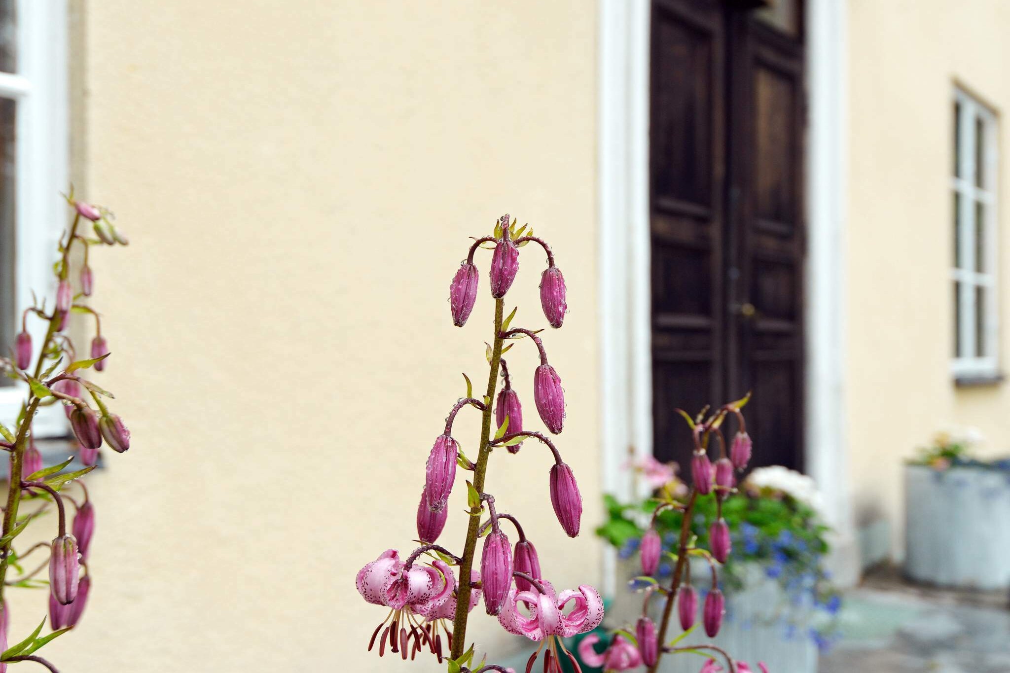 This spacious holiday home, located outside of Eskilstuna, is ideal for two families or a large group of friends. It is set in a quiet area about 20 kilometres from the charming old town of Eskilstuna.  The house was built in 1860 and completely renovated in 1973. It has always been owned by musicians, which you can tell from the interior. It is tastefully decorated and furnished, with furniture from different periods in history. There are all of three living rooms, one of which features an open fireplace and a grand piano. You will also find a TV and a DVD-player in one of the living rooms. Free wireless internet access is included. The kitchen is equipped with all of the amenities you need for a comfortable holiday, including a dishwasher. There's also a separate dining room.  The house has five bedrooms and sleeps a total of eleven people in two double beds, one bunk bed, and five single beds. There's also a cot should you need one. The house features one lavatory with a WC and a washbasin, and one bathroom with a WC, washbasin, shower, and washing machine. The gigantic garden plot is 6000 square metres.  There are many lovely beaches within 10 kilometres of the house, by lake HjÃ¤lmaren and lake BÃ¶rsÃ¶knasjÃ¶n. Golfing is popular in the area and there are all of five golf courses around Eskilstuna, one of which is Strands GK.  Stockholm, the capital of  Sweden, is 112 kilometres away, a distance which takes about 1 hour and 15 minutes by car. The lovely old university town of Uppsala is also within driving distance.  Welcome to a magnificent holiday home!