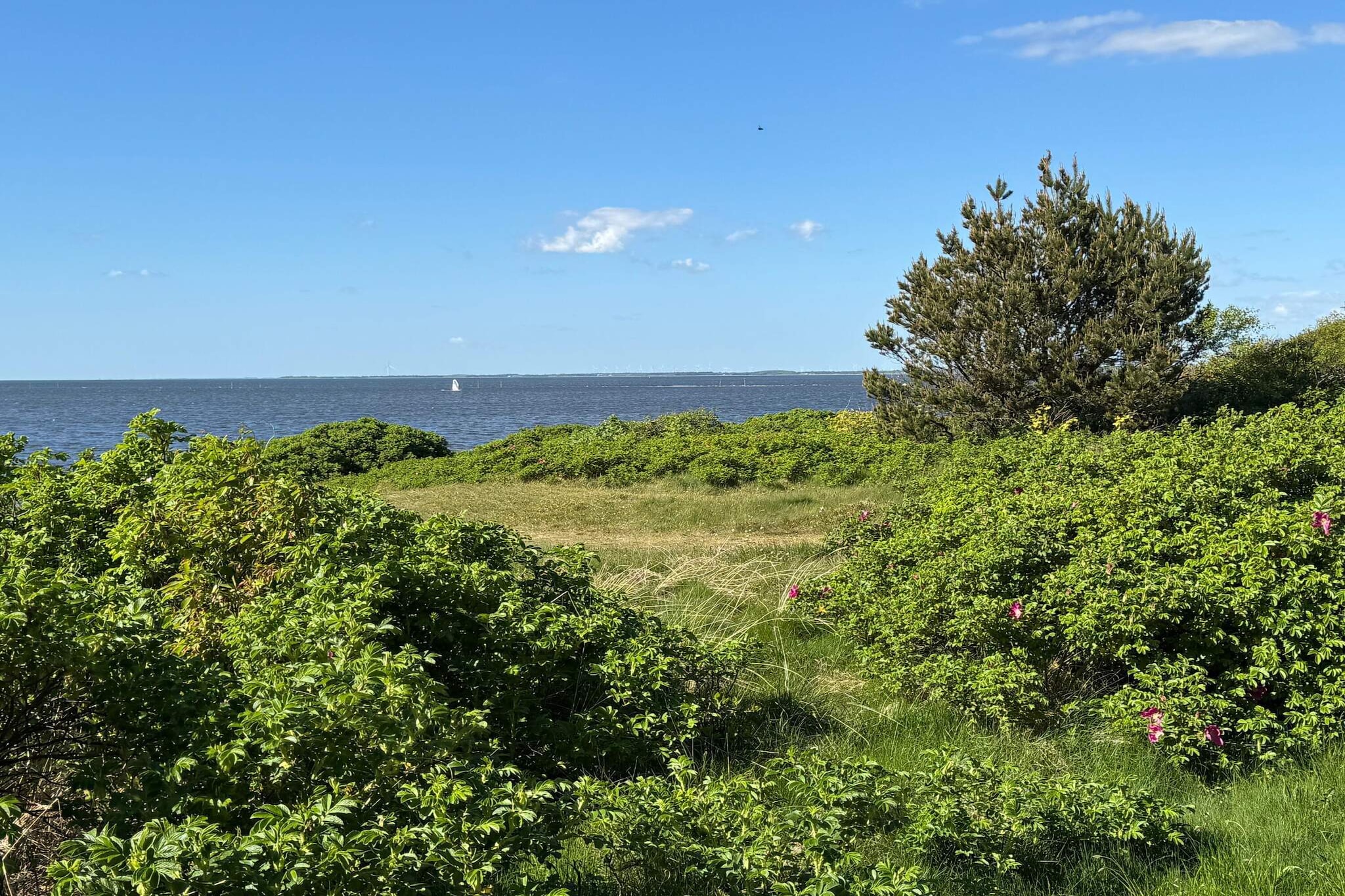 Internet Access DSL, open kitchen(cooker(electric), coffee machine, microwave, fridge-freezer), Living/bed room(TV(satellite, german television channels), CD player, stereo unit), bedroom(double bed), bathroom(floor heating)(bathtub or shower, washbasin, toilet), heating(electric), terrace, air to air heatpump