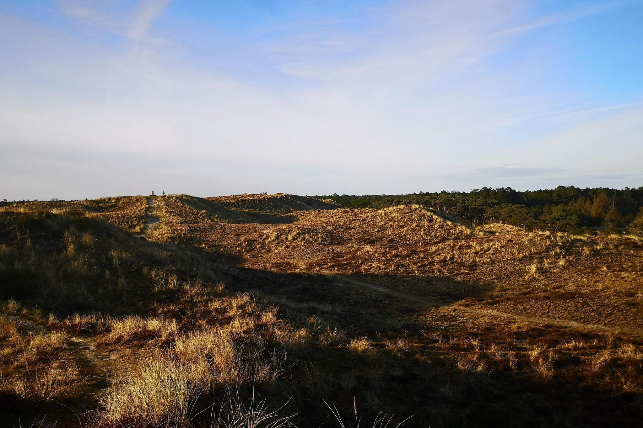 Luxe zwembad retraite in Blavand -- By Traum Ferienwohnungen-Niet-getagd