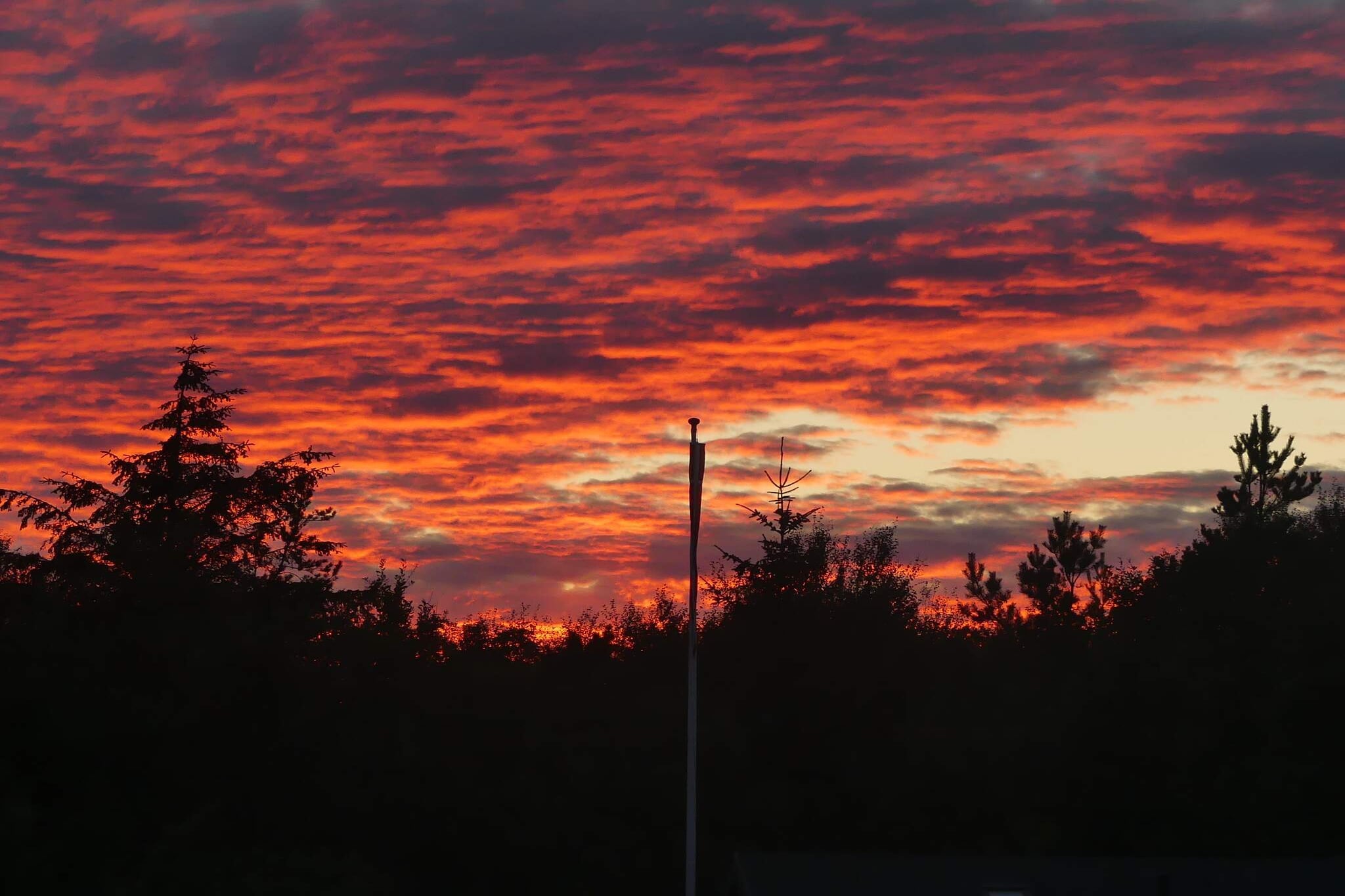 Rustig toevluchtsoord in de natuur -- By Traum Ferienwohnungen-Niet-getagd