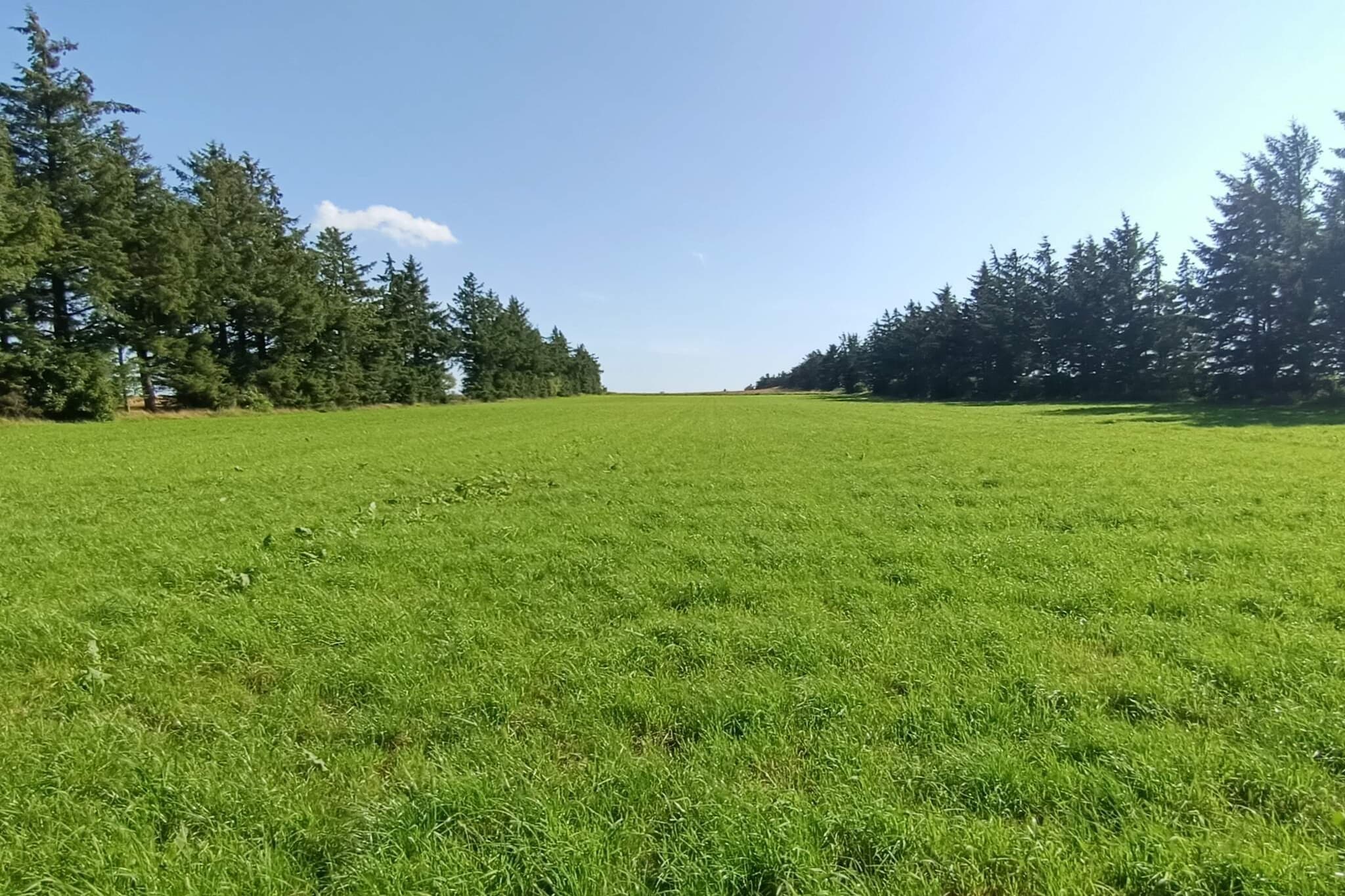 Maison de vacances pour 7 a Toftlund-By Traum-Non tagué