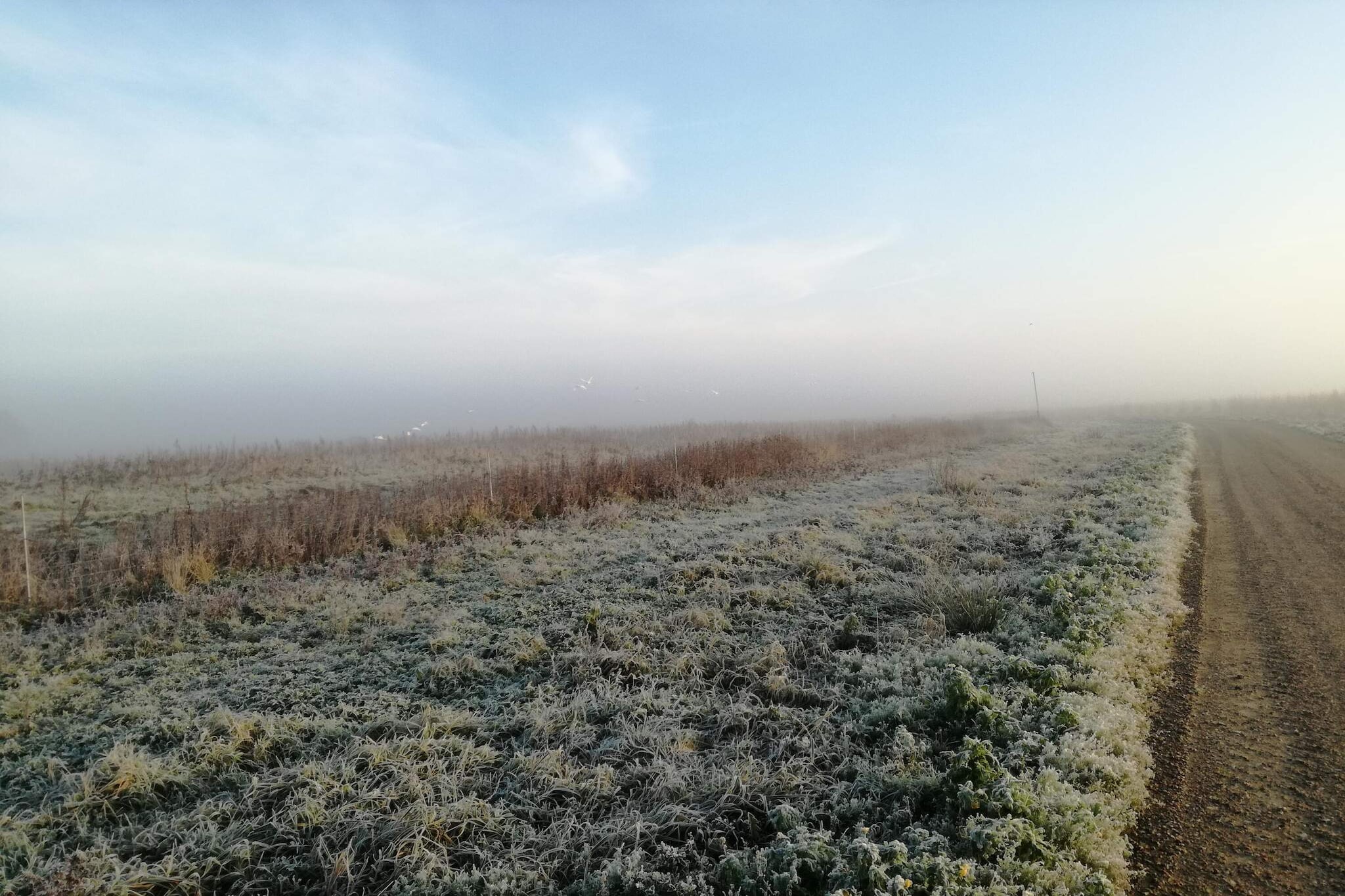 7 persoons vakantie huis in Løkken-By Traum-Niet-getagd