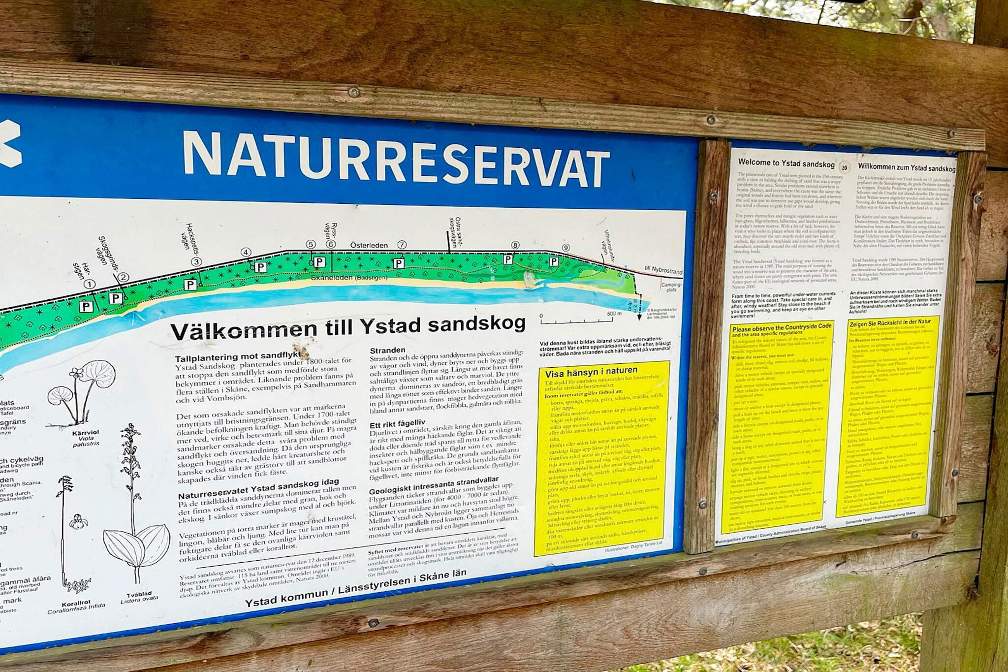 4 person holiday home in YSTAD