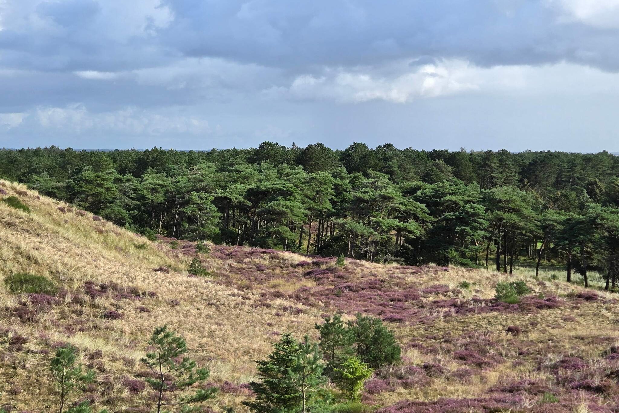 Rustig toevluchtsoord in Blavand -- By Traum Ferienwohnungen