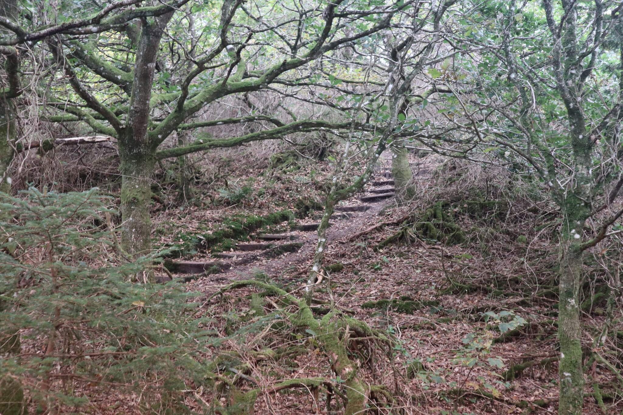 10 persoons vakantie huis in Brovst