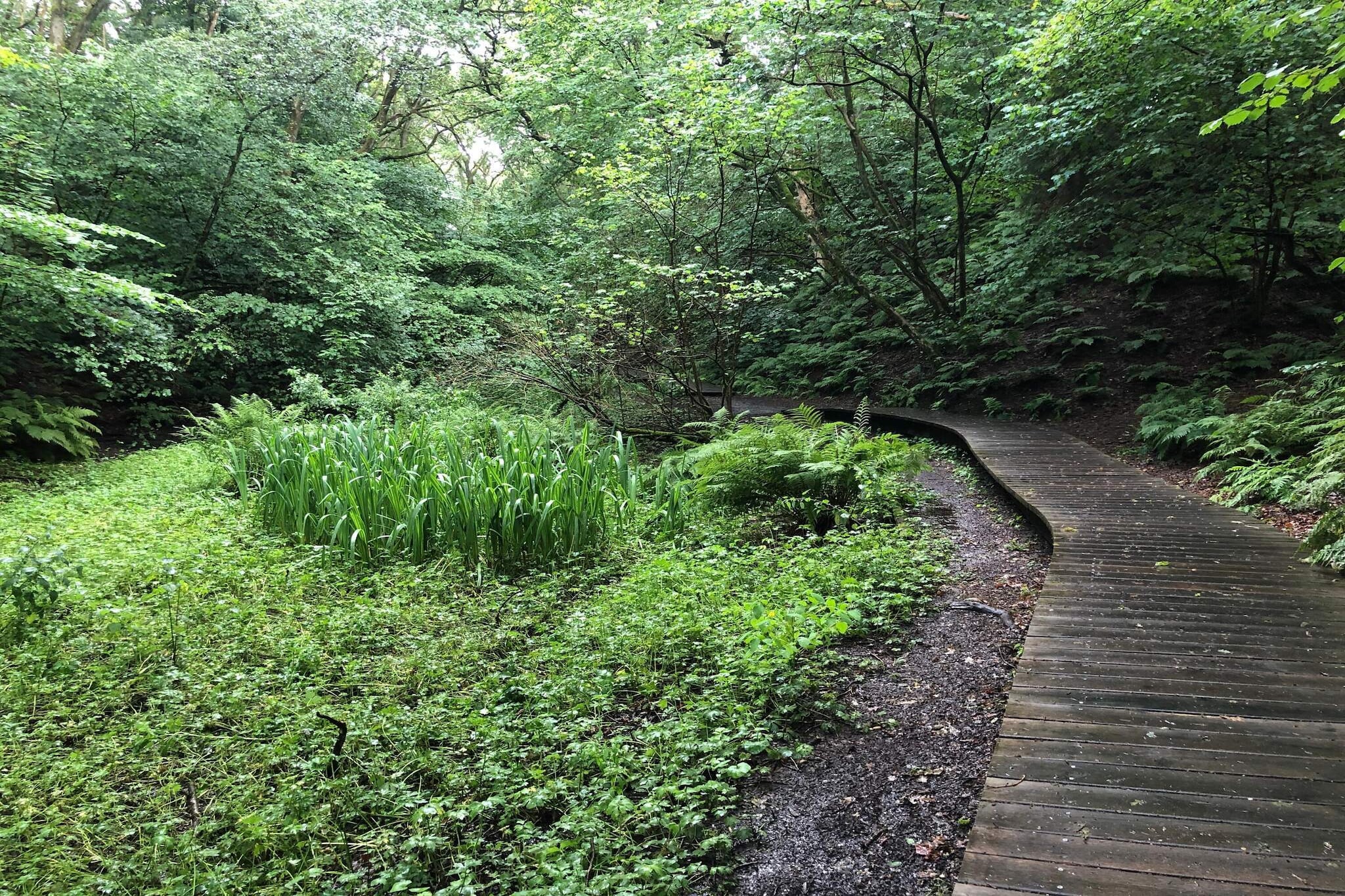 10 persoons vakantie huis in Brovst-Niet-getagd